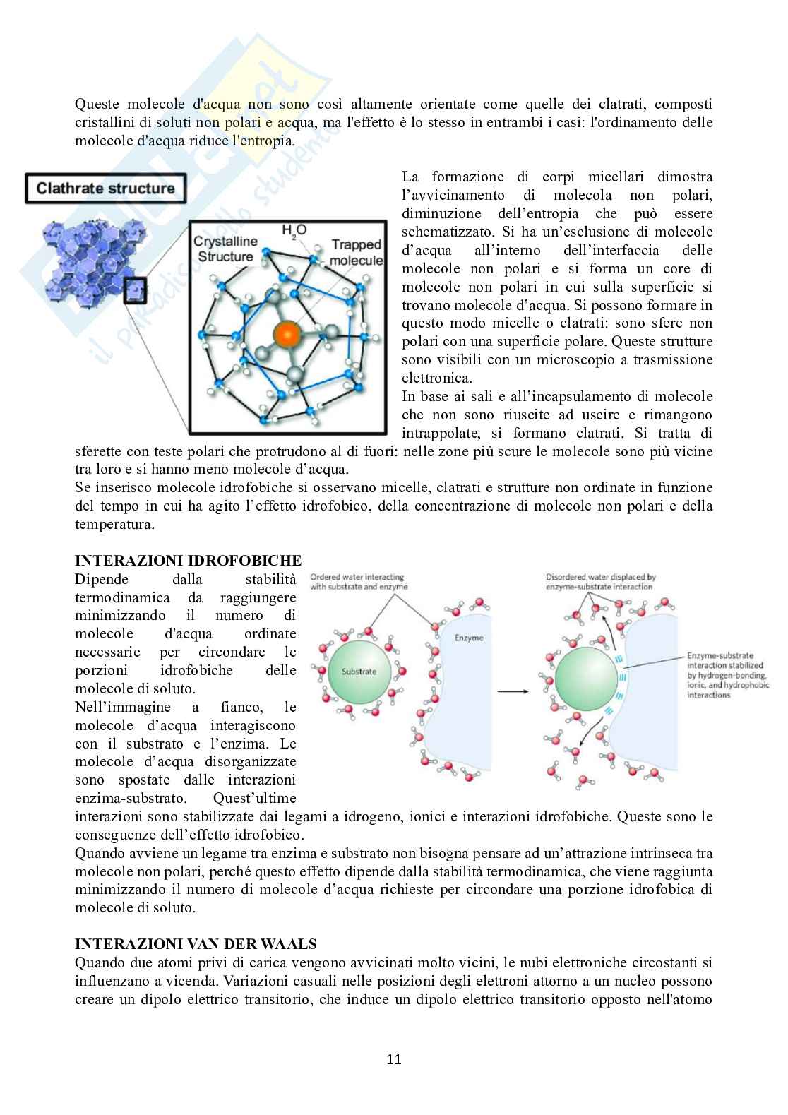 Biochimica 1 Pag. 11