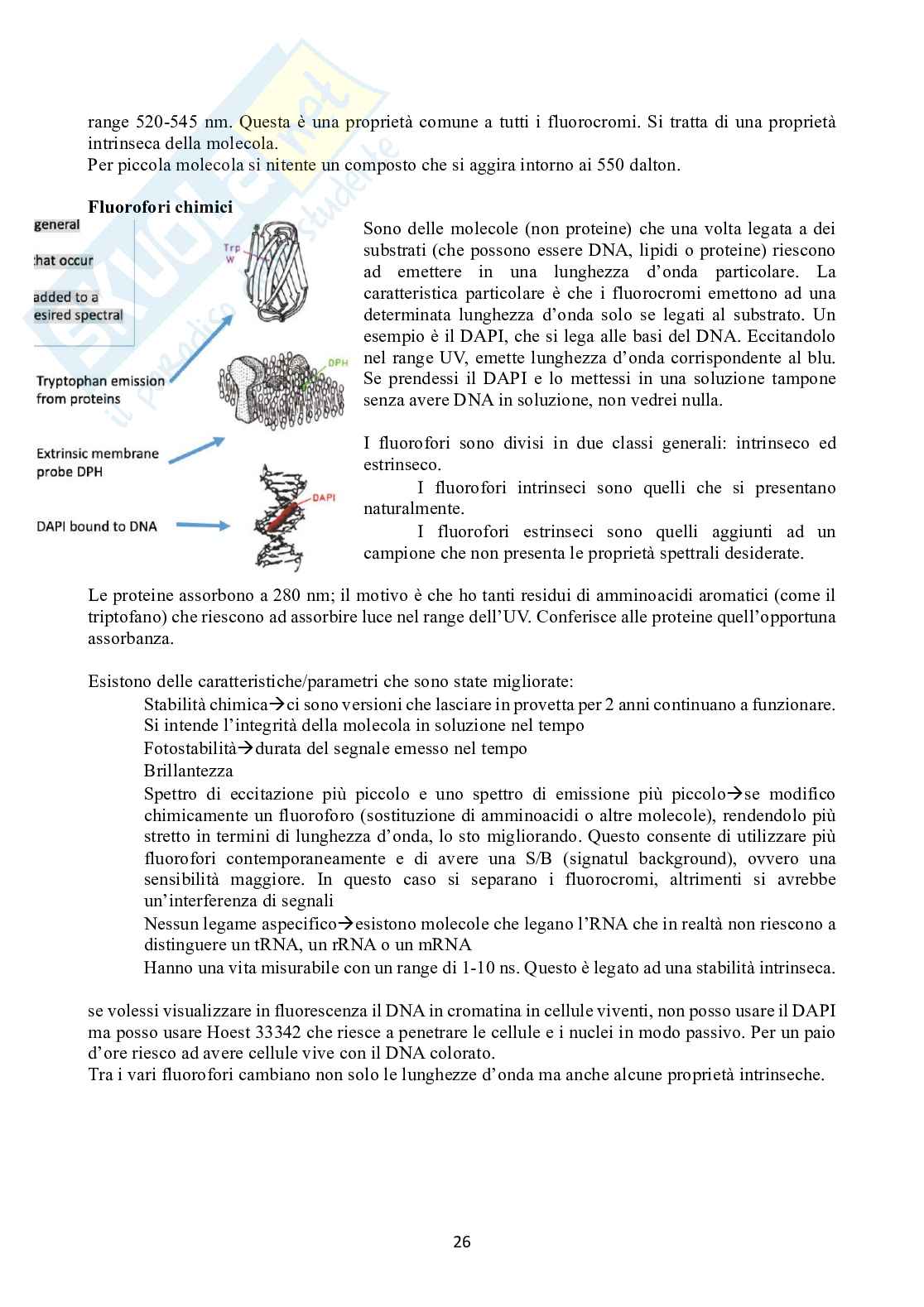 Biochimica 1 Pag. 26