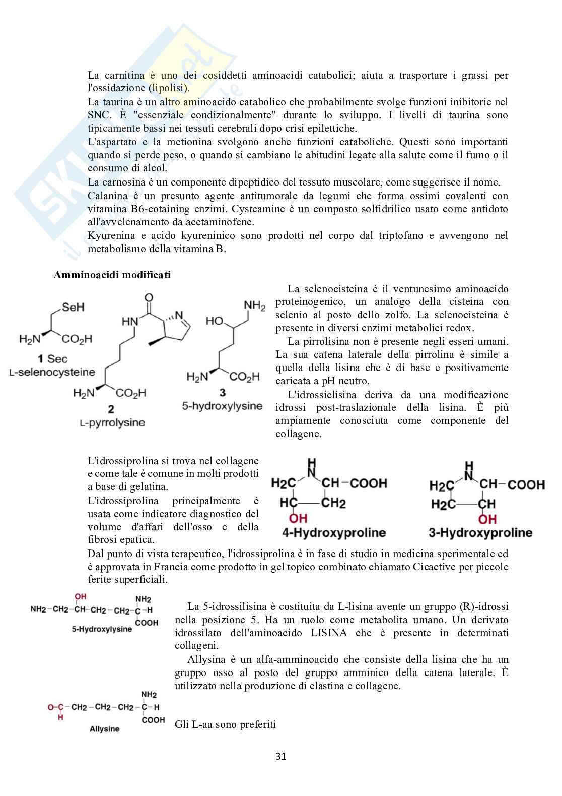 Biochimica 1 Pag. 31