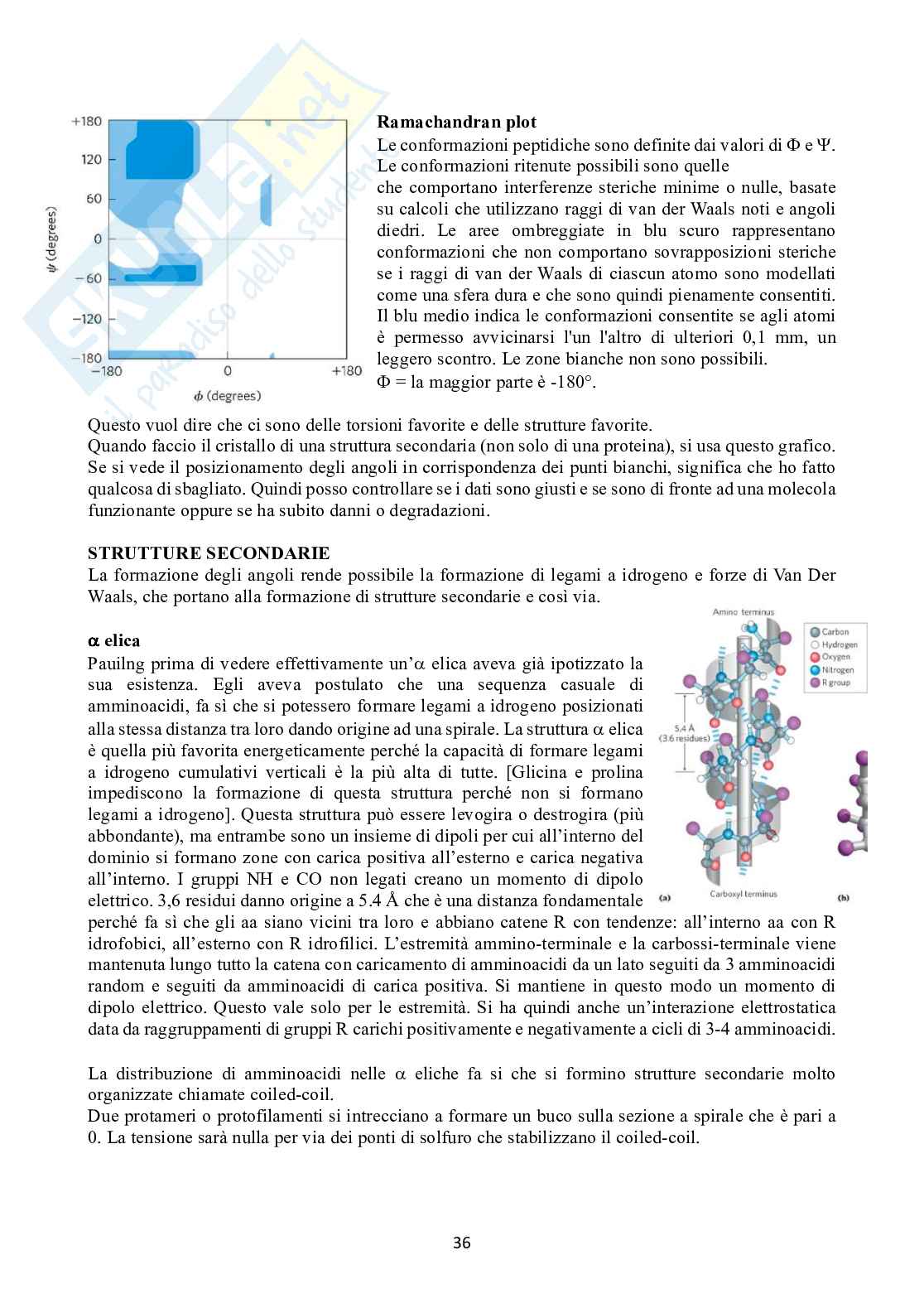 Biochimica 1 Pag. 36