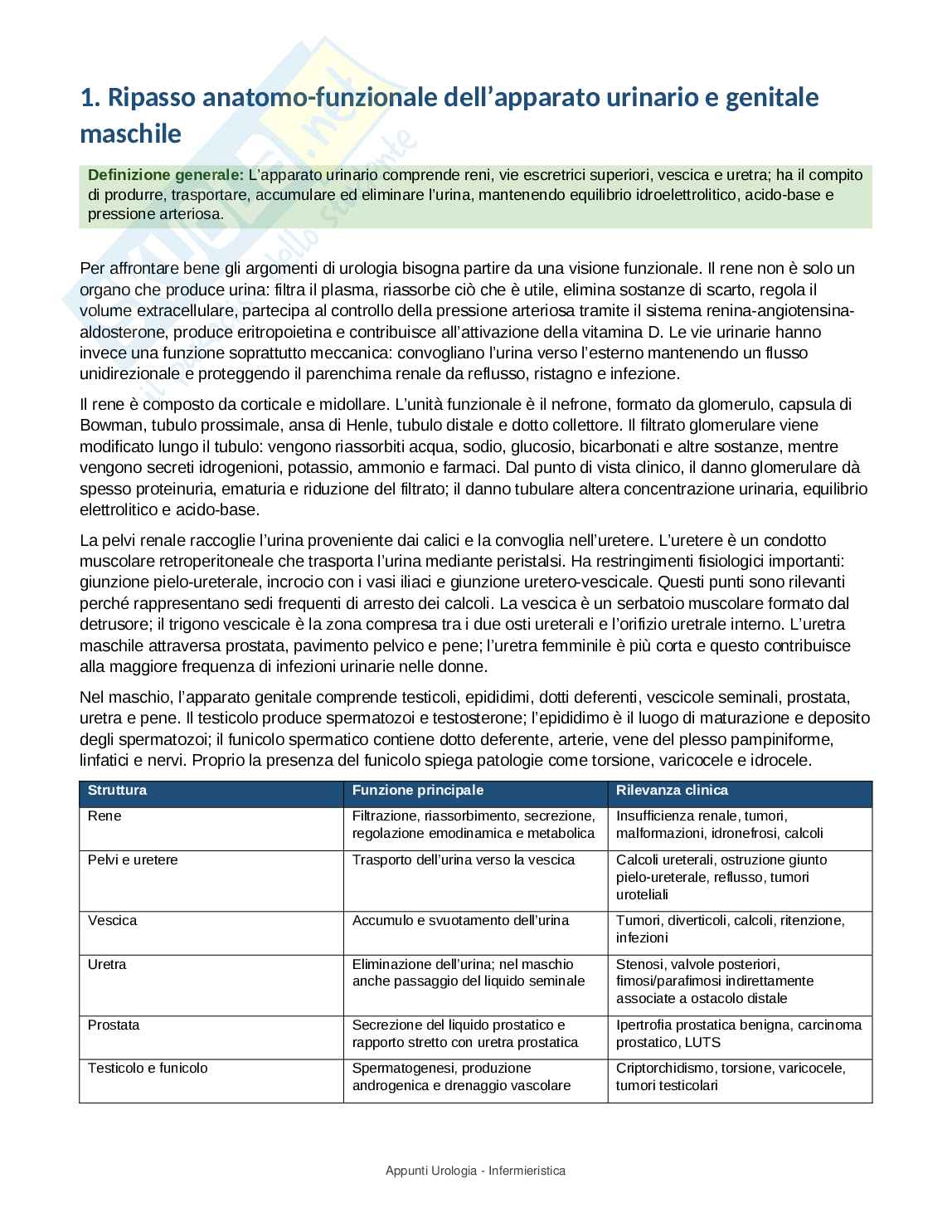 Urologia - Appunti completi per Infermieristica con domande d’esame Pag. 2