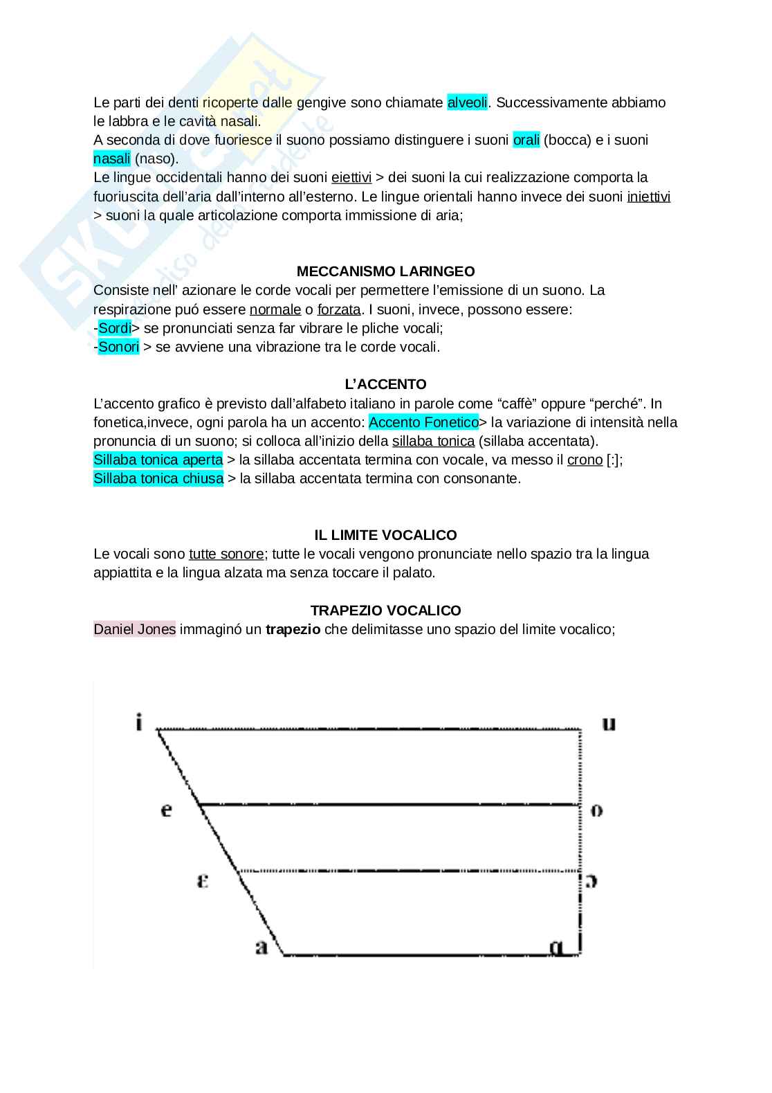 Linguistica generale Pag. 2