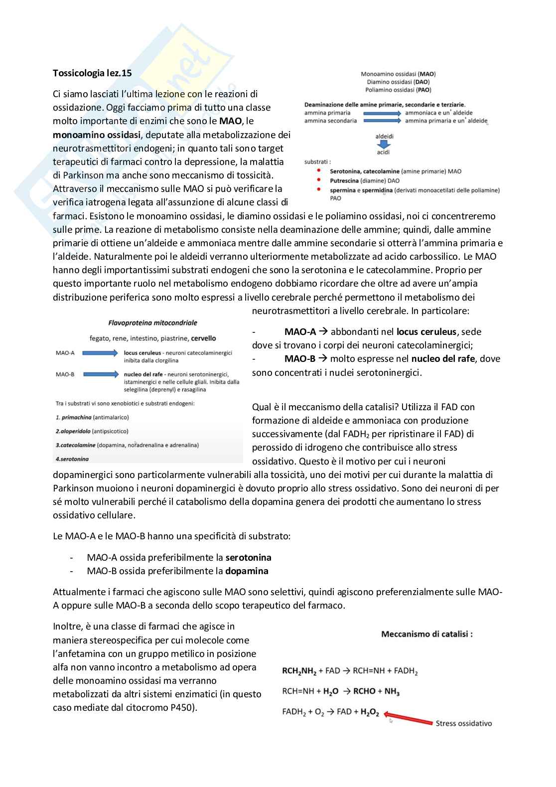 Tossicologia generale e del farmaco - parte 5 Pag. 26