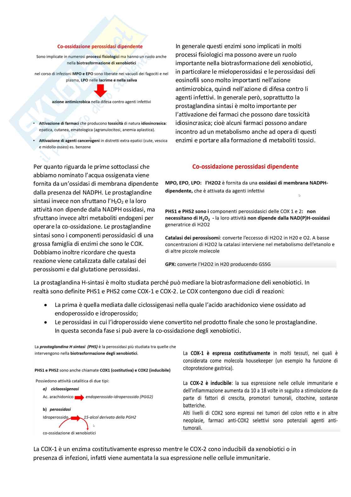 Tossicologia generale e del farmaco - parte 5 Pag. 31