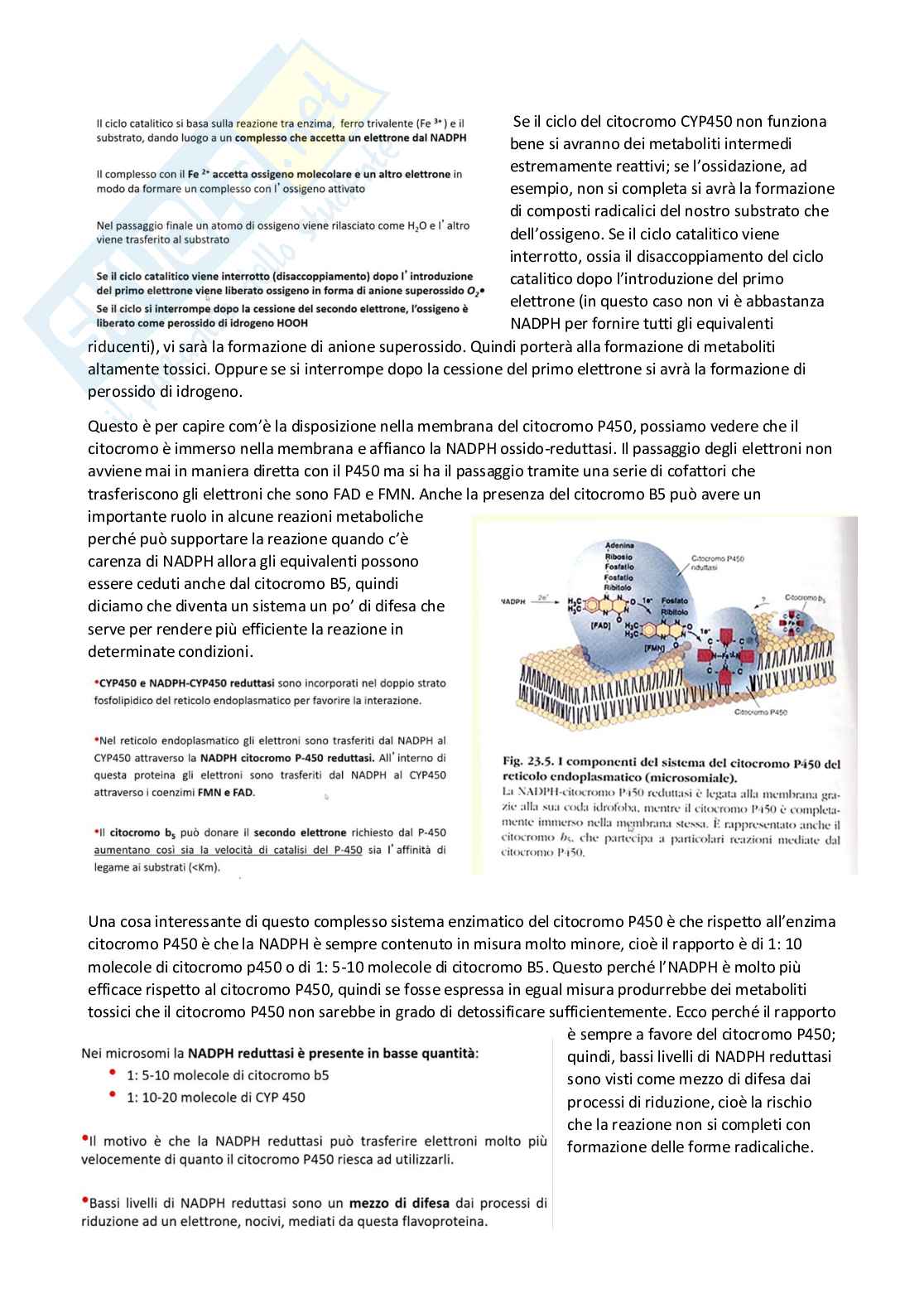 Tossicologia generale e del farmaco - parte 5 Pag. 36