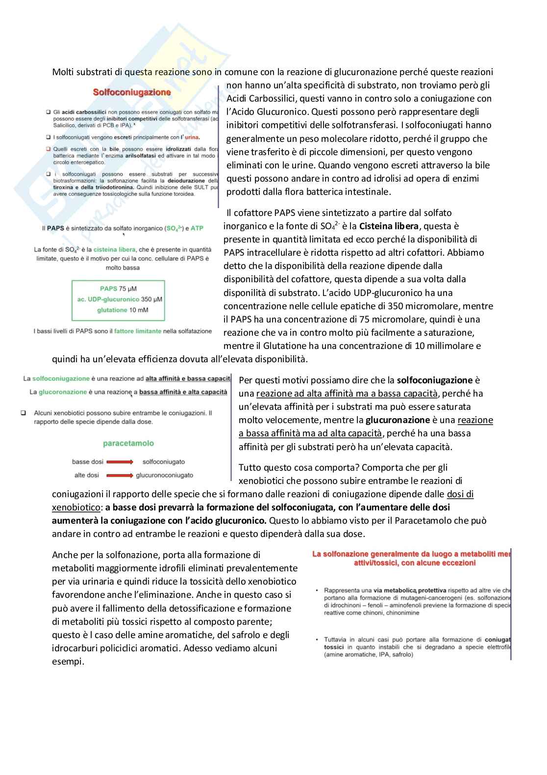 Tossicologia generale e del farmaco - parte 5 Pag. 46