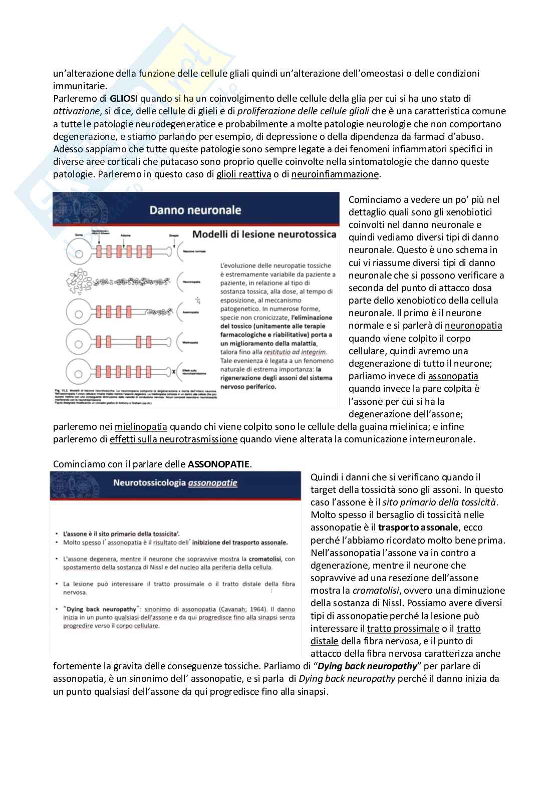 Tossicologia generale e del farmaco - parte 5 Pag. 66