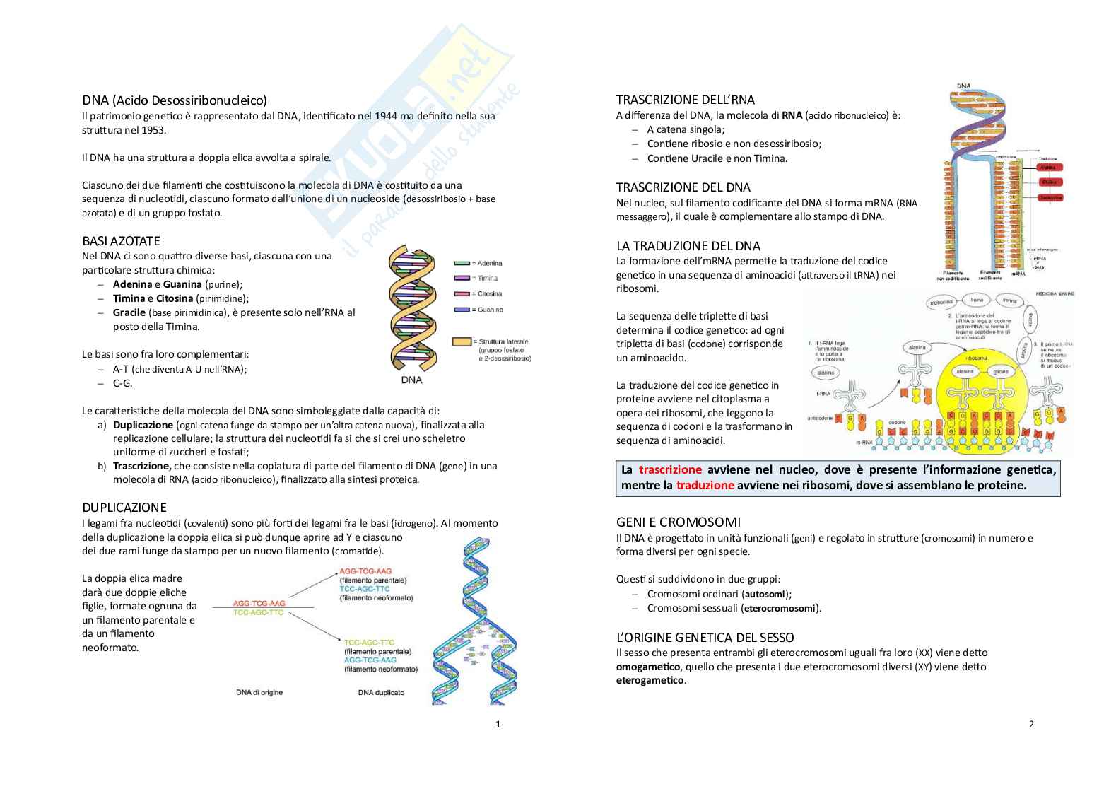 Zootecnica generale e miglioramento genetico Pag. 1
