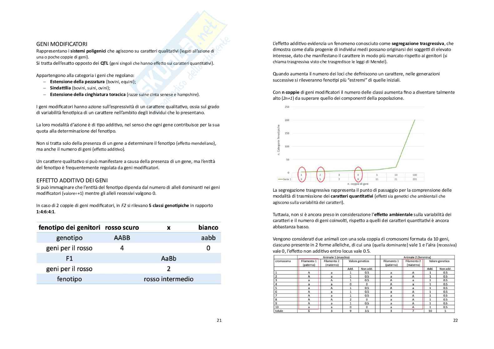 Zootecnica generale e miglioramento genetico Pag. 11