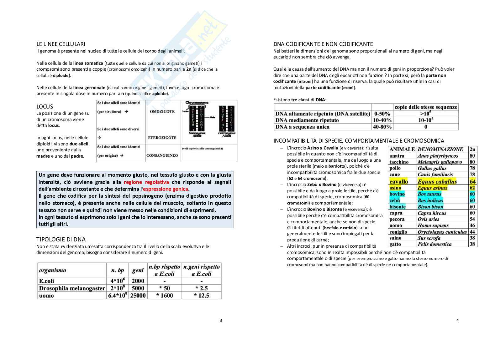 Zootecnica generale e miglioramento genetico Pag. 2