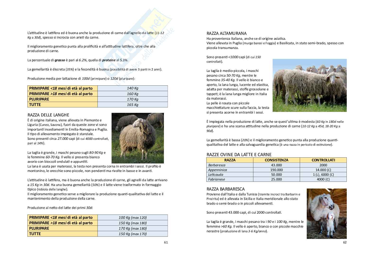 Zootecnica generale e miglioramento genetico Pag. 31