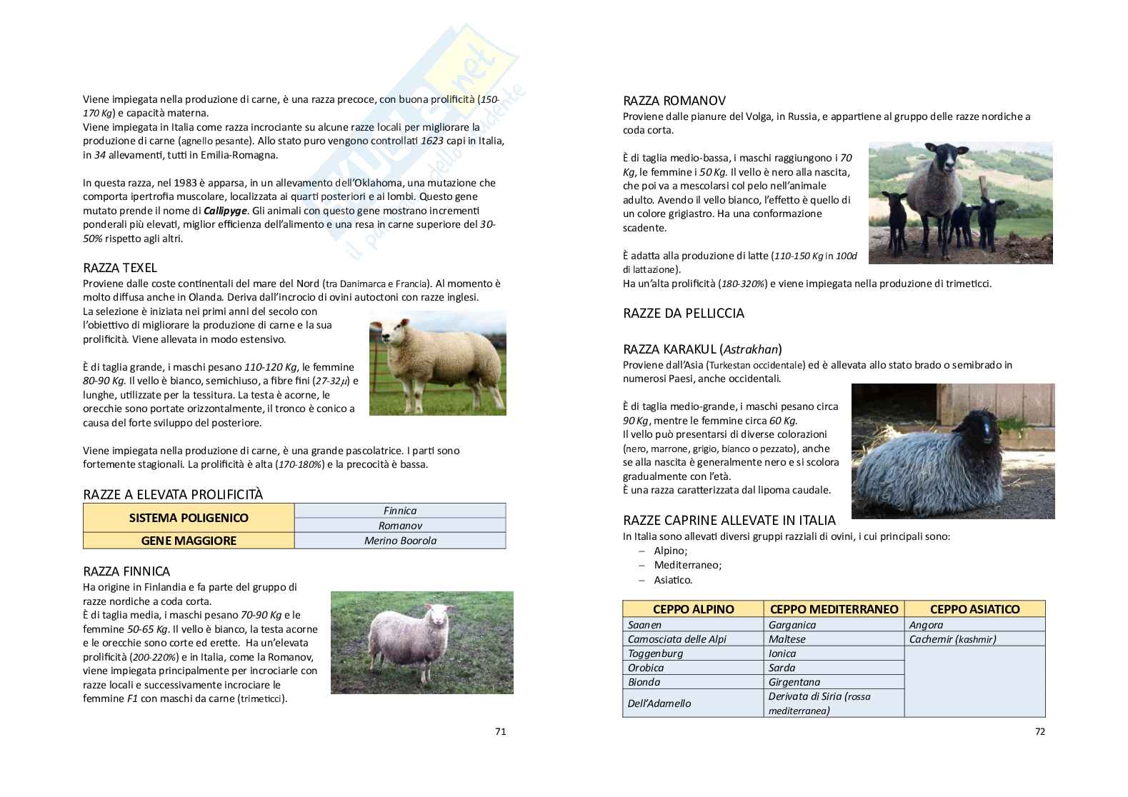 Zootecnica generale e miglioramento genetico Pag. 36