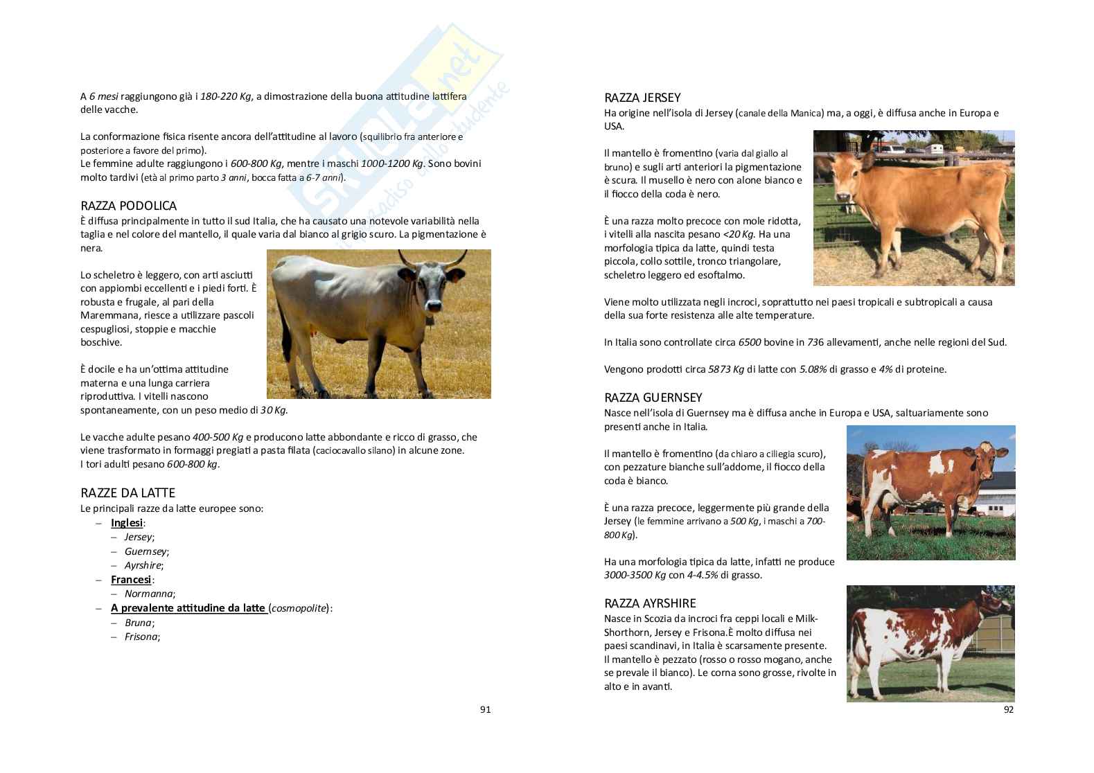 Zootecnica generale e miglioramento genetico Pag. 46