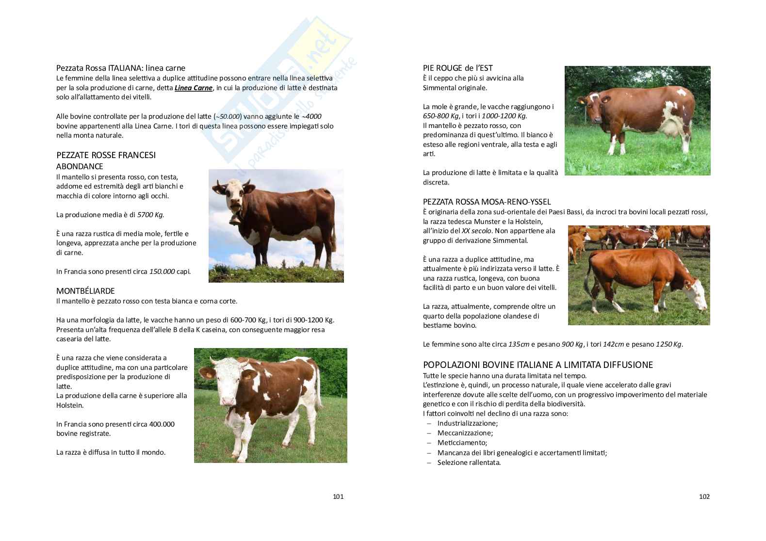 Zootecnica generale e miglioramento genetico Pag. 51