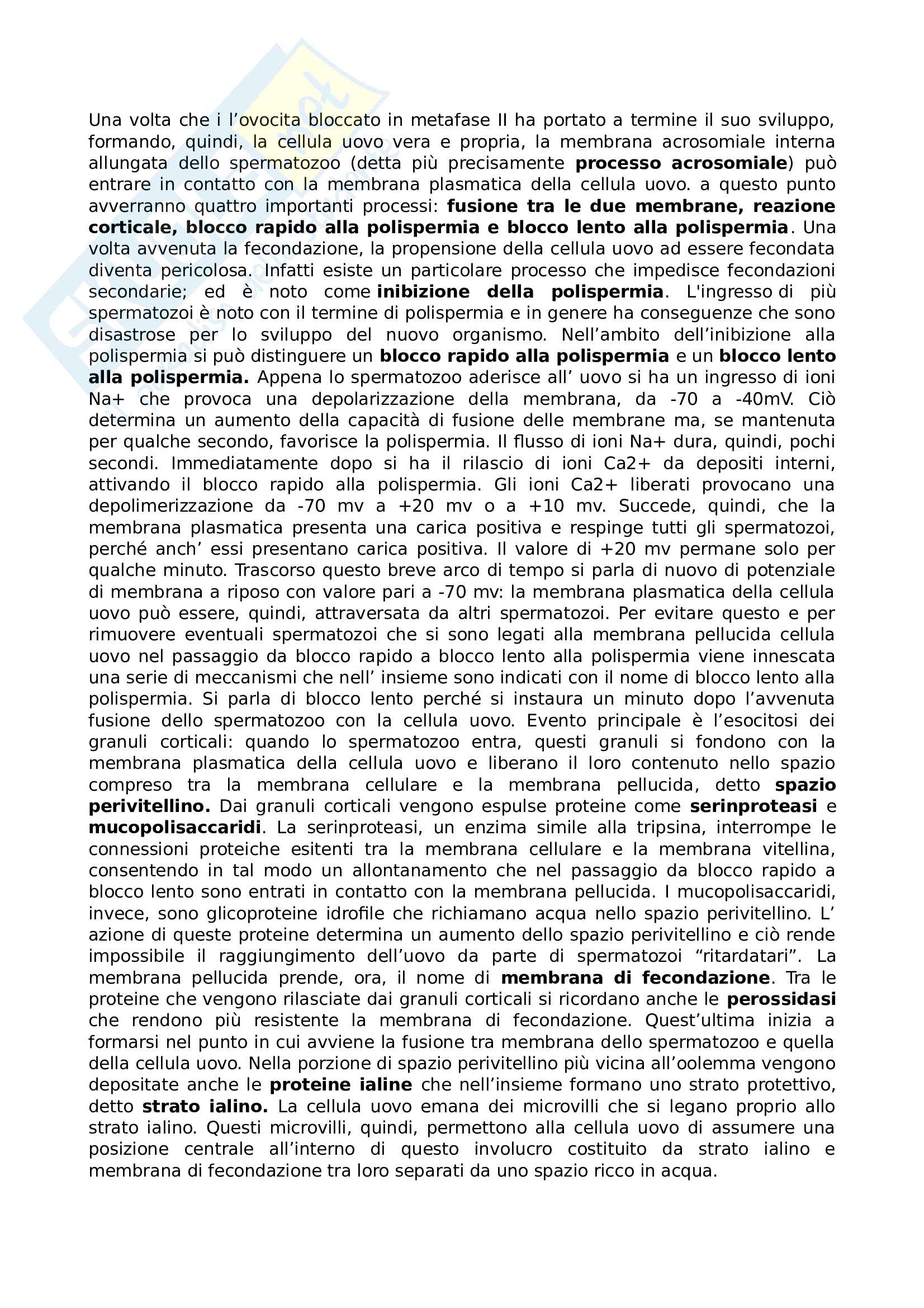 4.Fecondazione (concetto di premorfismo, viaggio degli spermatozoi dai testicoli alla cellula uovo, modalita' di ingresso dello spermatozoo nella cellula uovo, blocco alla polispermia, cosa succede dopo la fecondazione: segnale wnt e recettori frizzled) Pag. 6