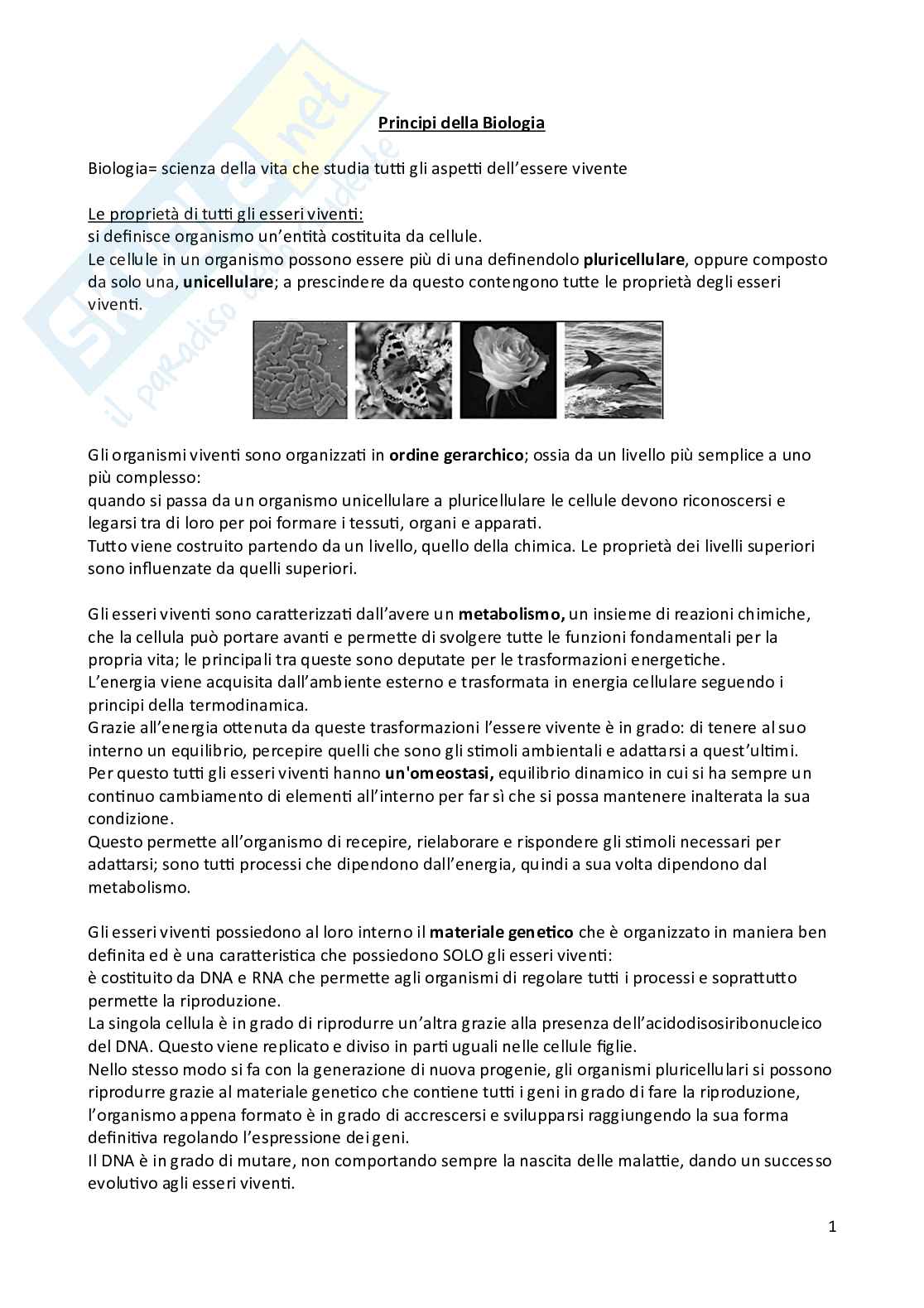 Appunti di Biologia animale e vegetale Pag. 1