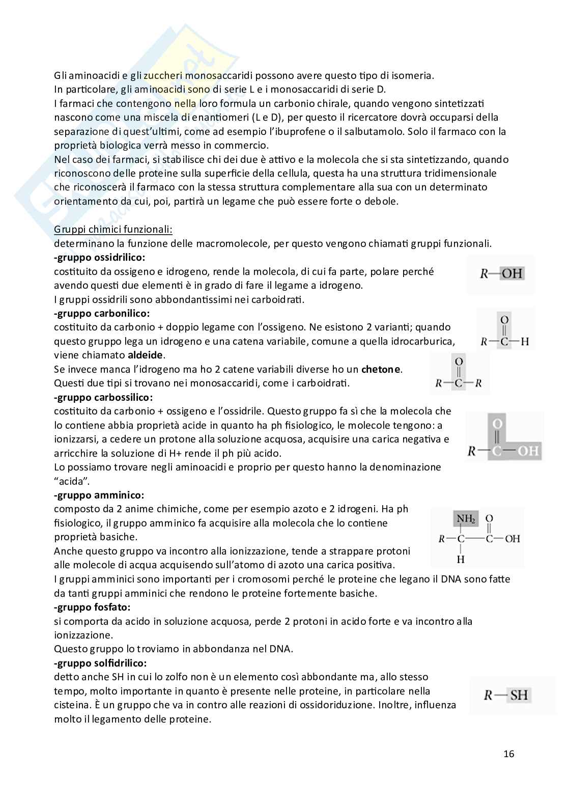 Appunti di Biologia animale e vegetale Pag. 16