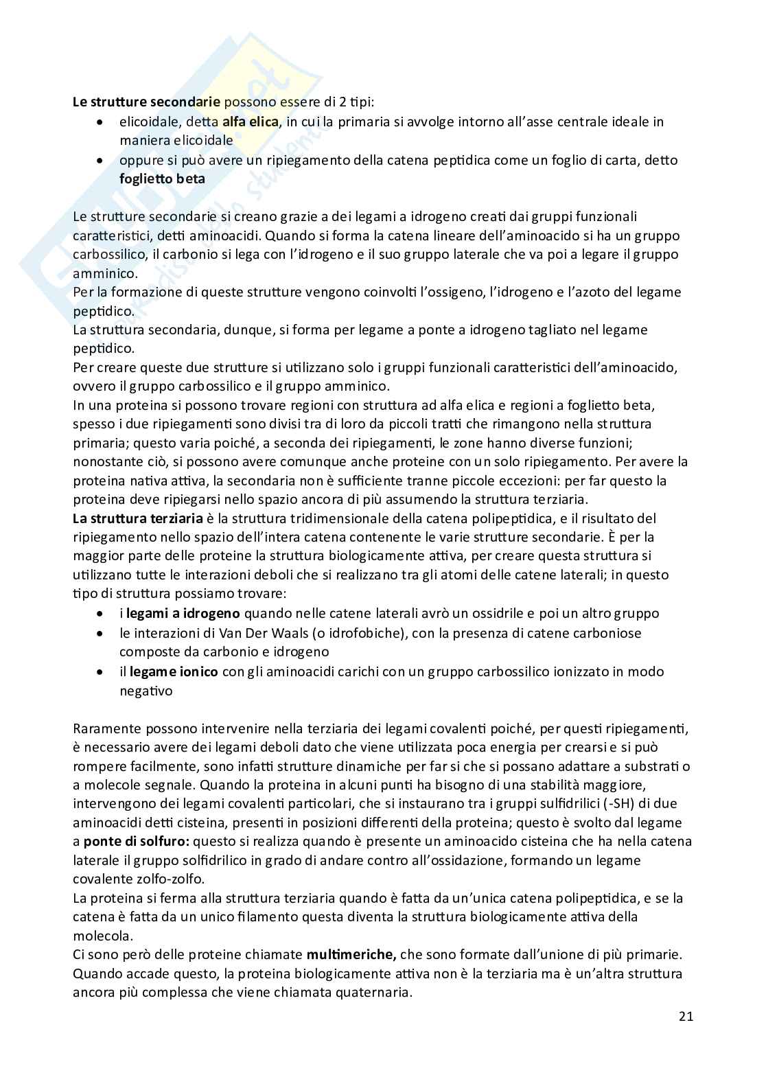 Appunti di Biologia animale e vegetale Pag. 21