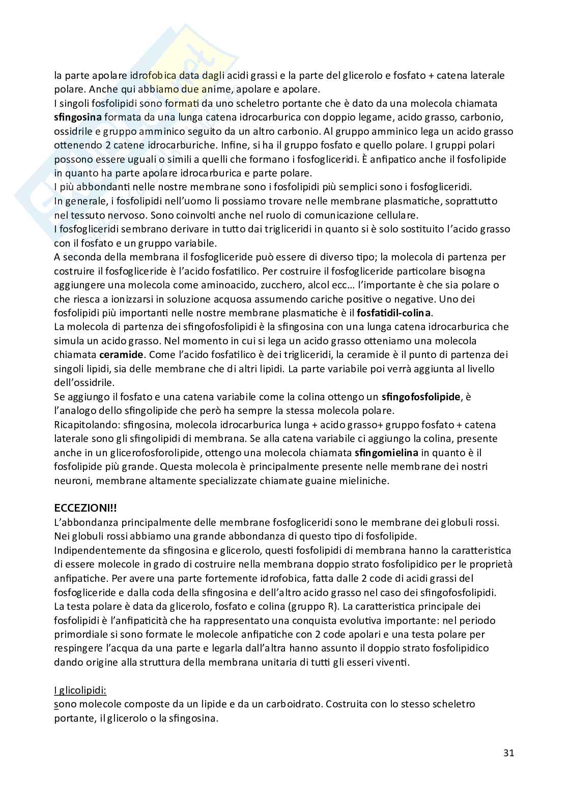 Appunti di Biologia animale e vegetale Pag. 31