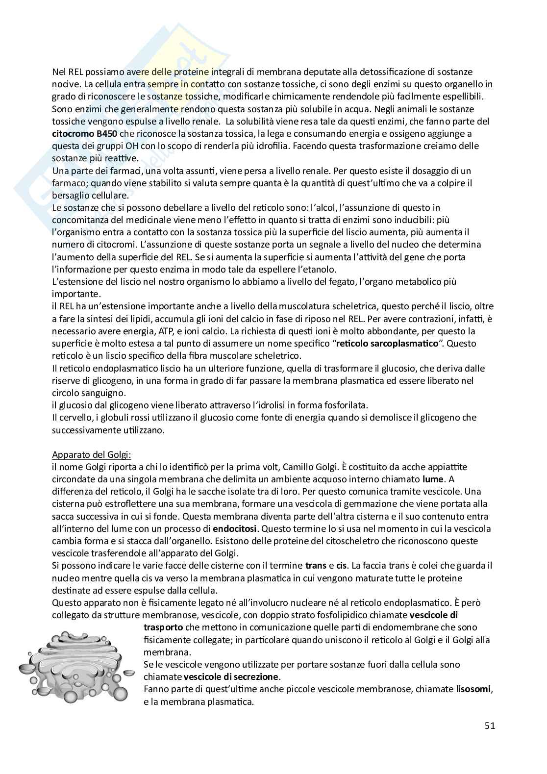 Appunti di Biologia animale e vegetale Pag. 51