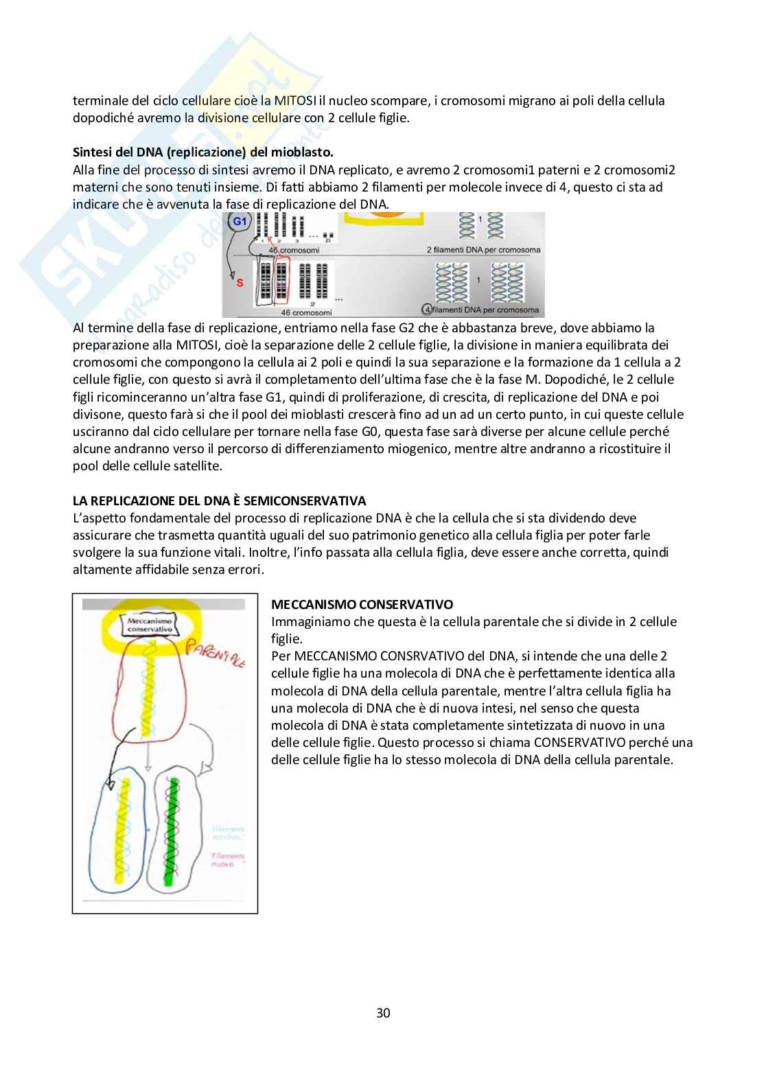 Appunti Biologia molecolare Pag. 31