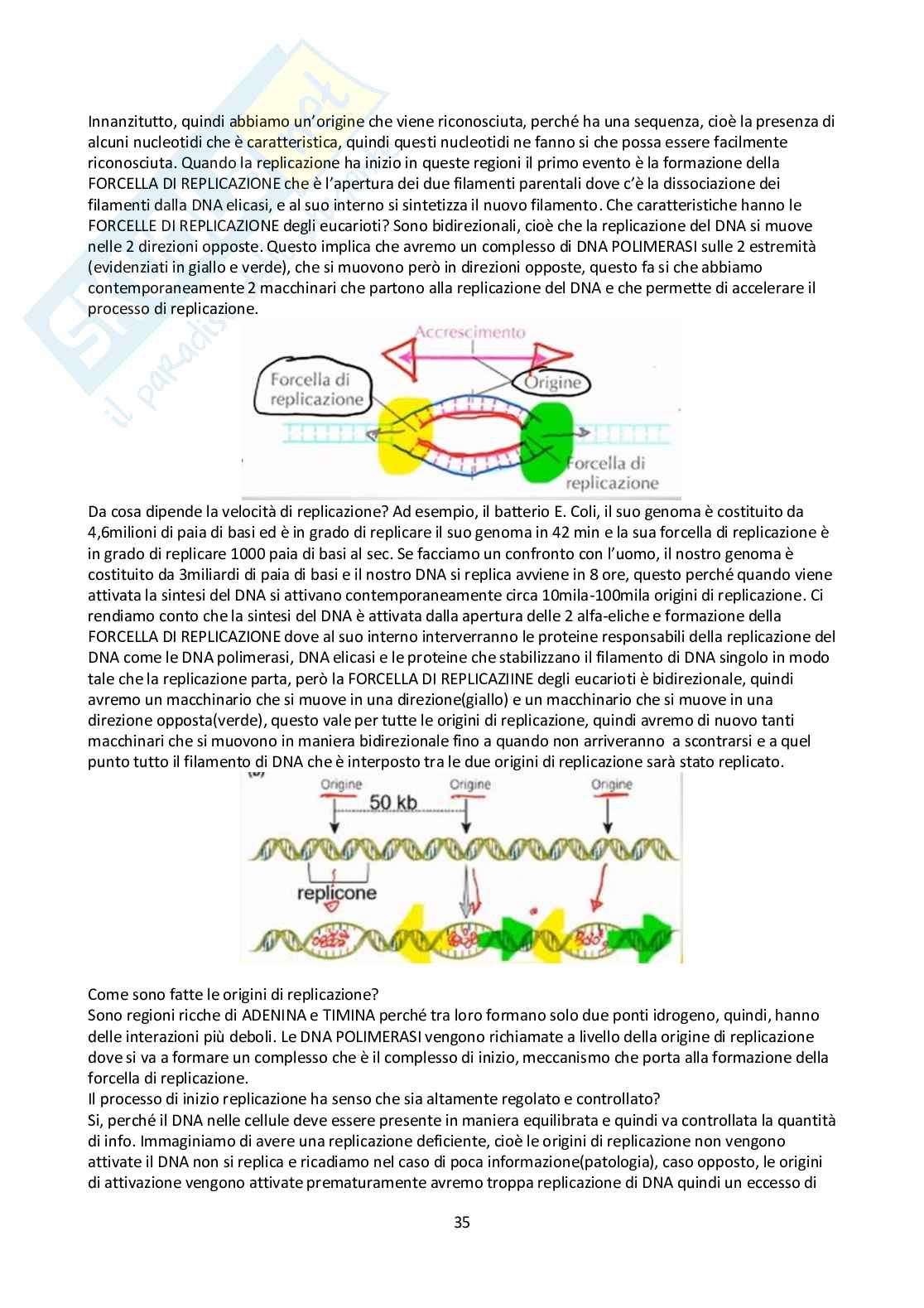 Appunti Biologia molecolare Pag. 36