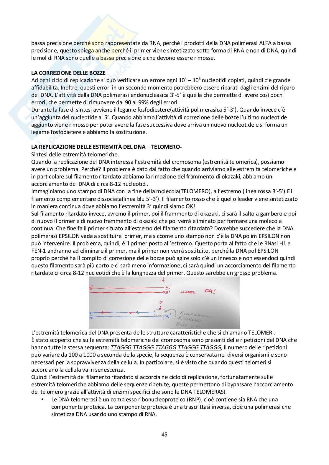 Appunti Biologia molecolare Pag. 46