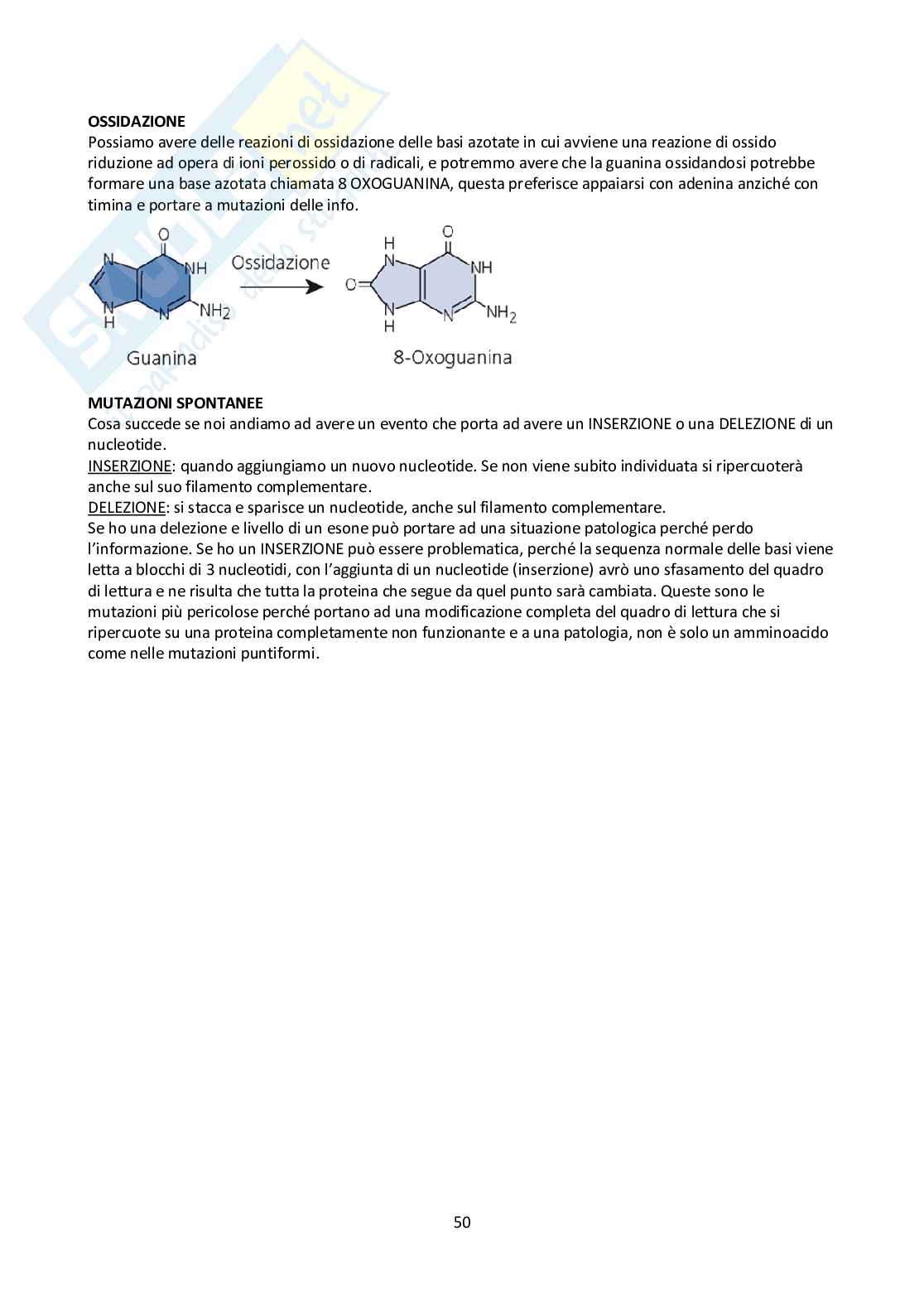 Appunti Biologia molecolare Pag. 51