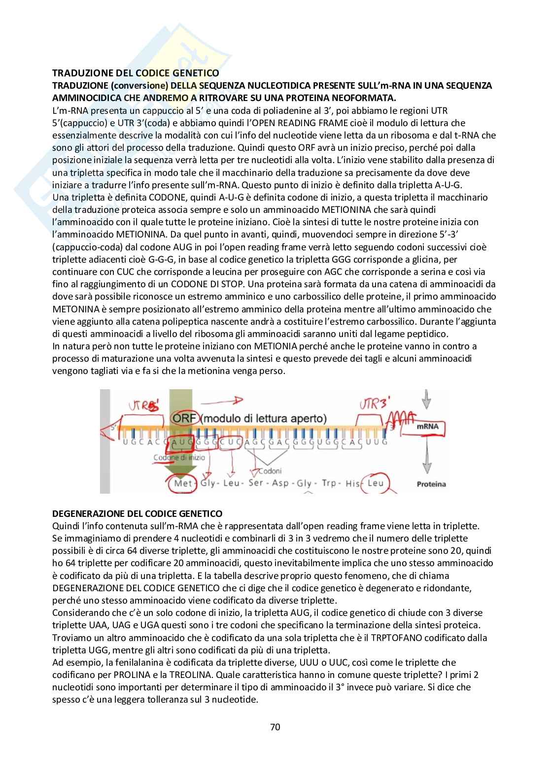 Appunti Biologia molecolare Pag. 71
