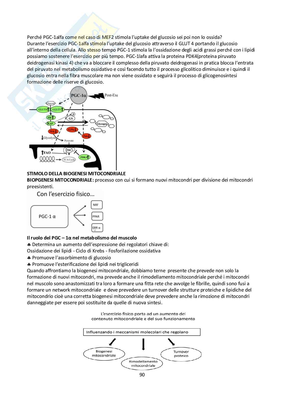 Appunti Biologia molecolare Pag. 91