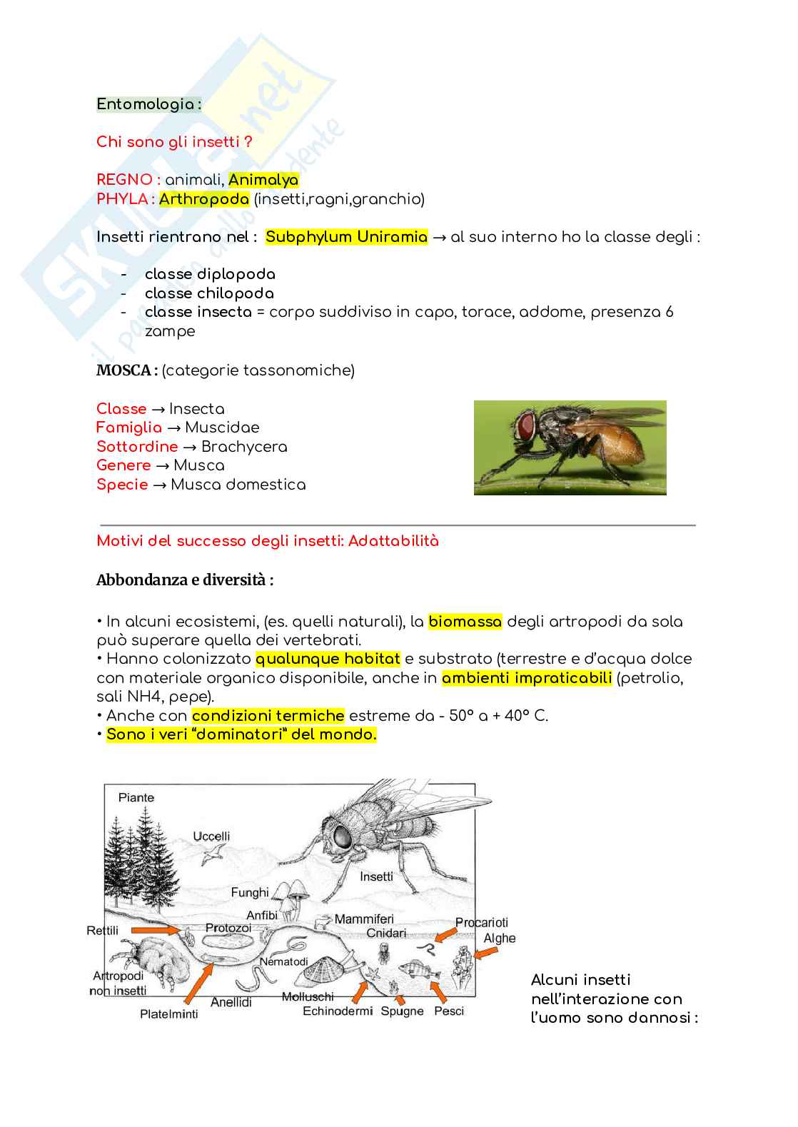 Entomologia (senza la parte in post-raccolta) Pag. 26