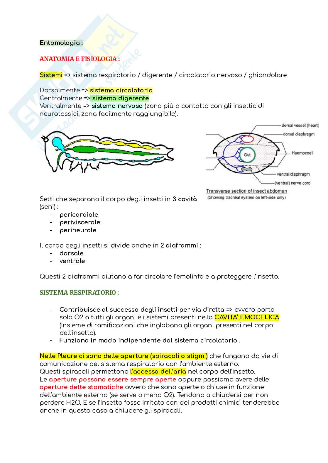 Entomologia (senza la parte in post-raccolta) Pag. 46
