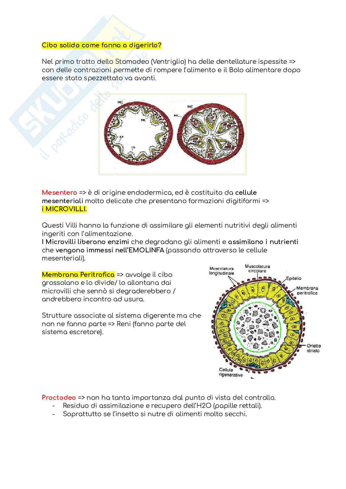 Entomologia (senza la parte in post-raccolta) Pag. 51