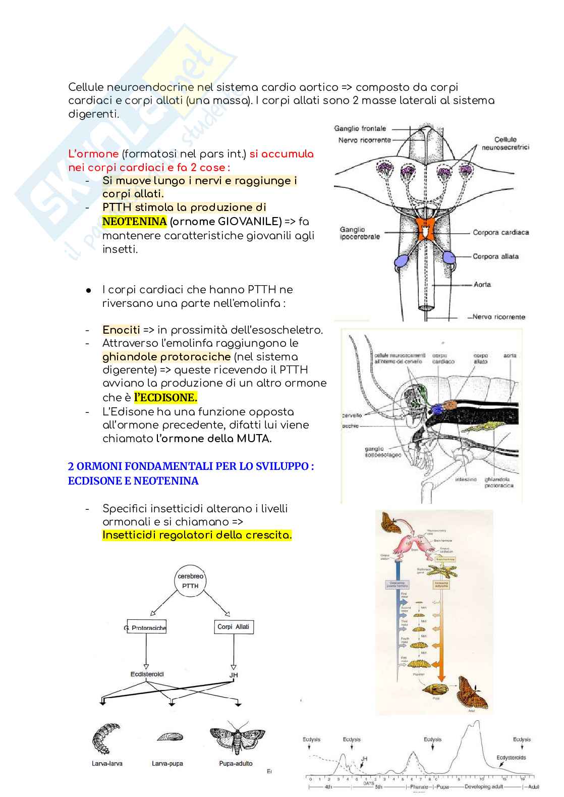 Entomologia (senza la parte in post-raccolta) Pag. 61