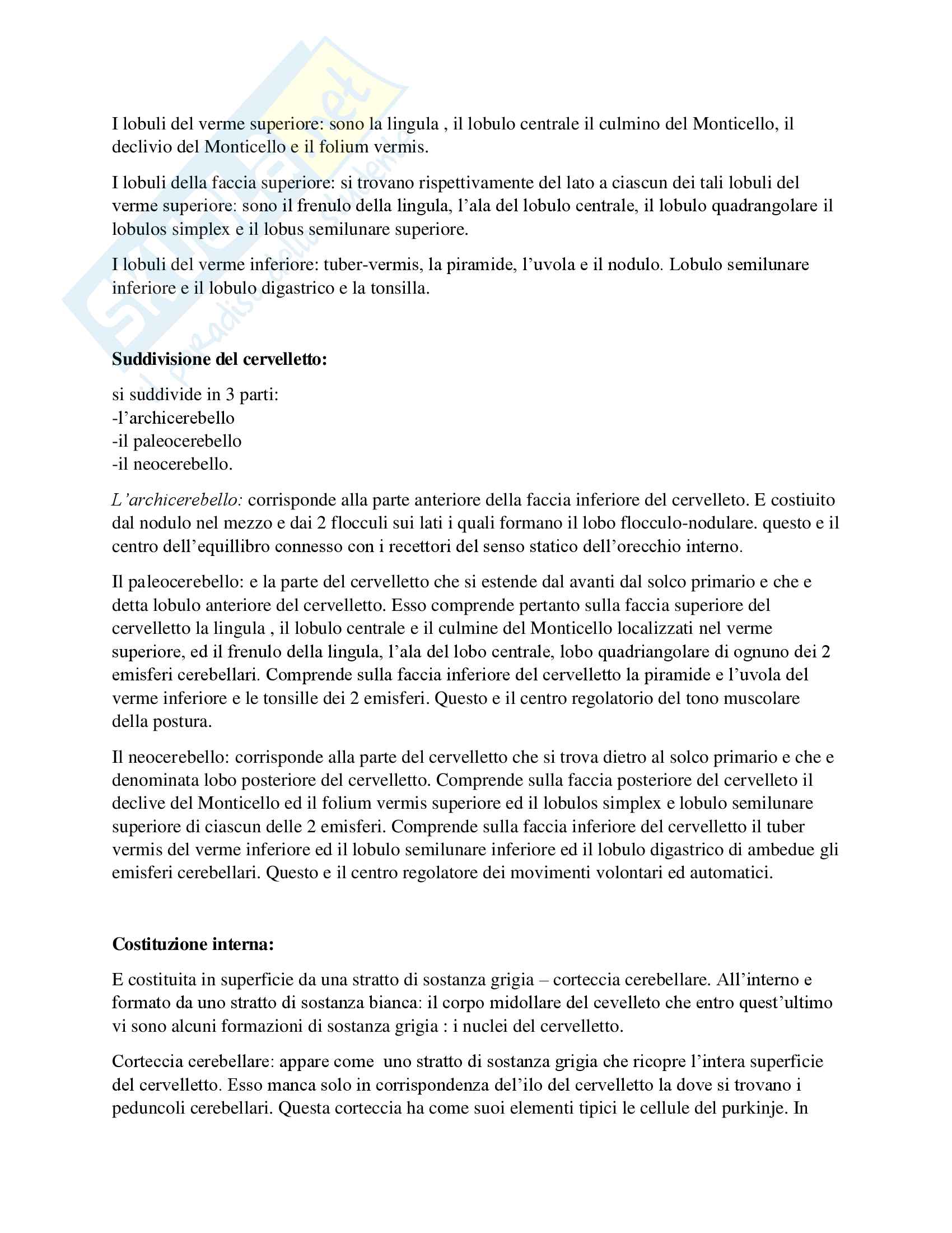 Riassunto esame neuroanatomia, prof. Macchiarelli, libro consigliato Anatomia del sistema nervoso centrale e periferico dell'uomo, Cattaneo‎ Pag. 26