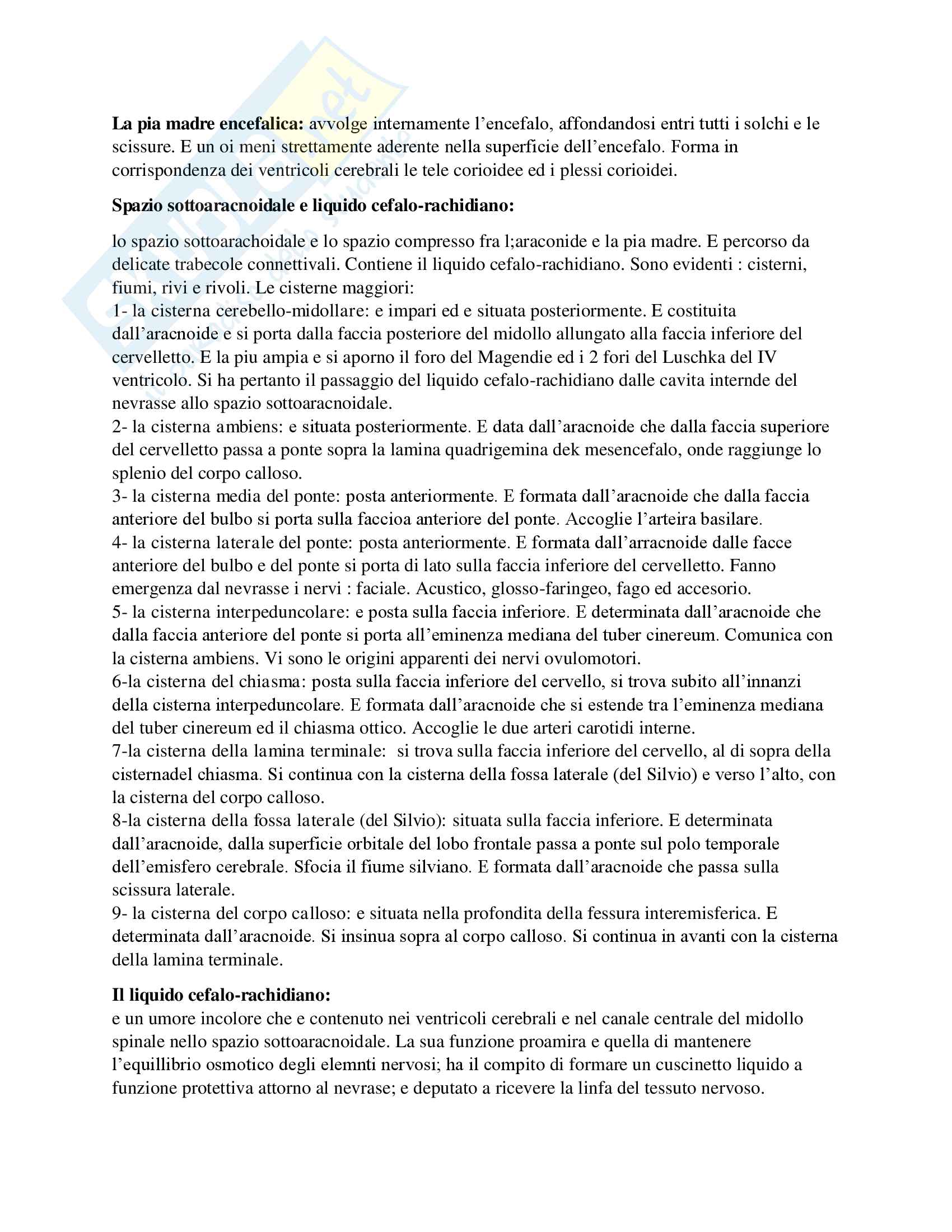 Riassunto esame neuroanatomia, prof. Macchiarelli, libro consigliato Anatomia del sistema nervoso centrale e periferico dell'uomo, Cattaneo‎ Pag. 66