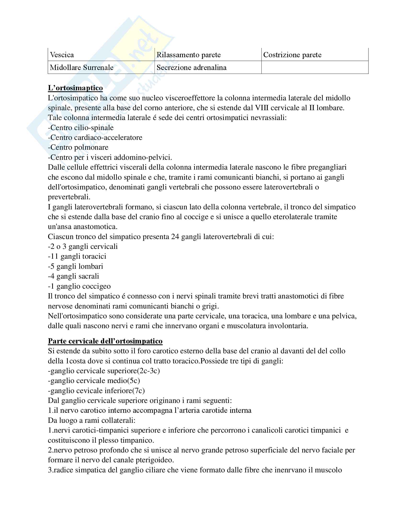 Riassunto esame neuroanatomia, prof. Macchiarelli, libro consigliato Anatomia del sistema nervoso centrale e periferico dell'uomo, Cattaneo‎ Pag. 86