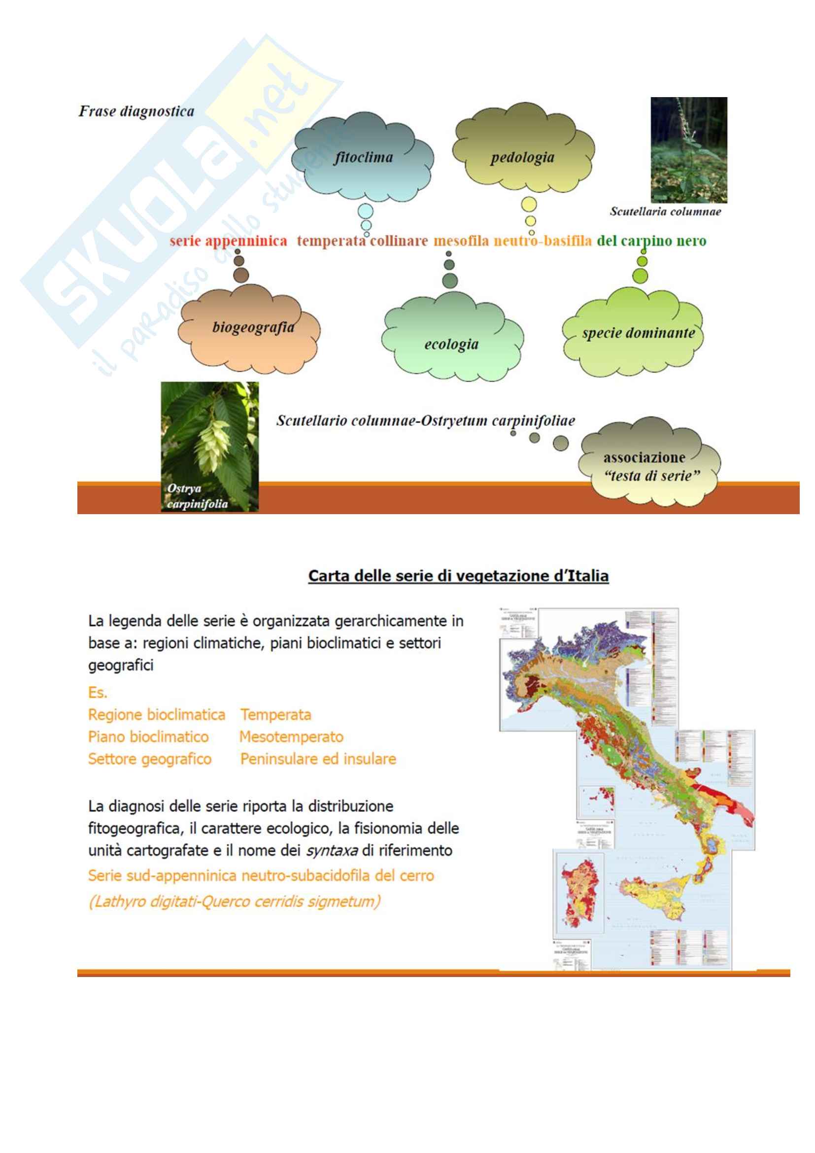 Ecologia Del Paesaggio E Dinamica Della Vegetazione