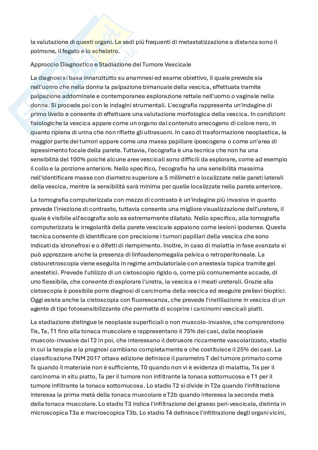 Carcinoma vescica e testicolo Pag. 2
