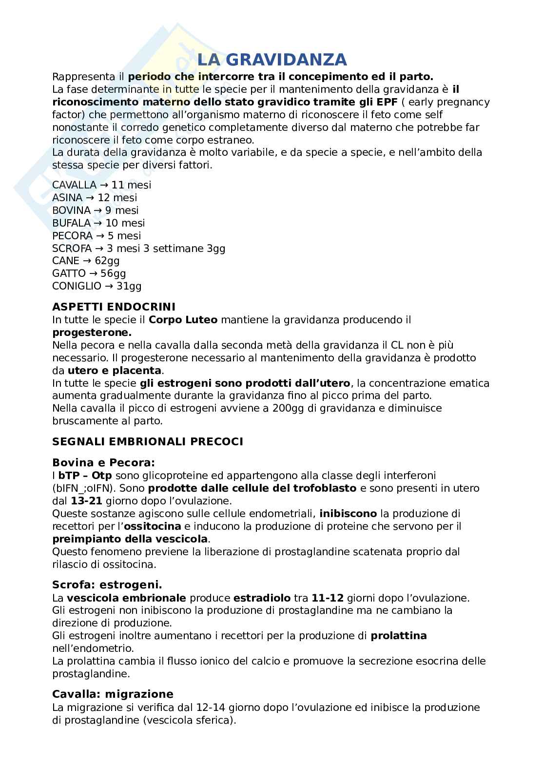 Gravidanza, placente e parto nelle varie specie animali Pag. 1