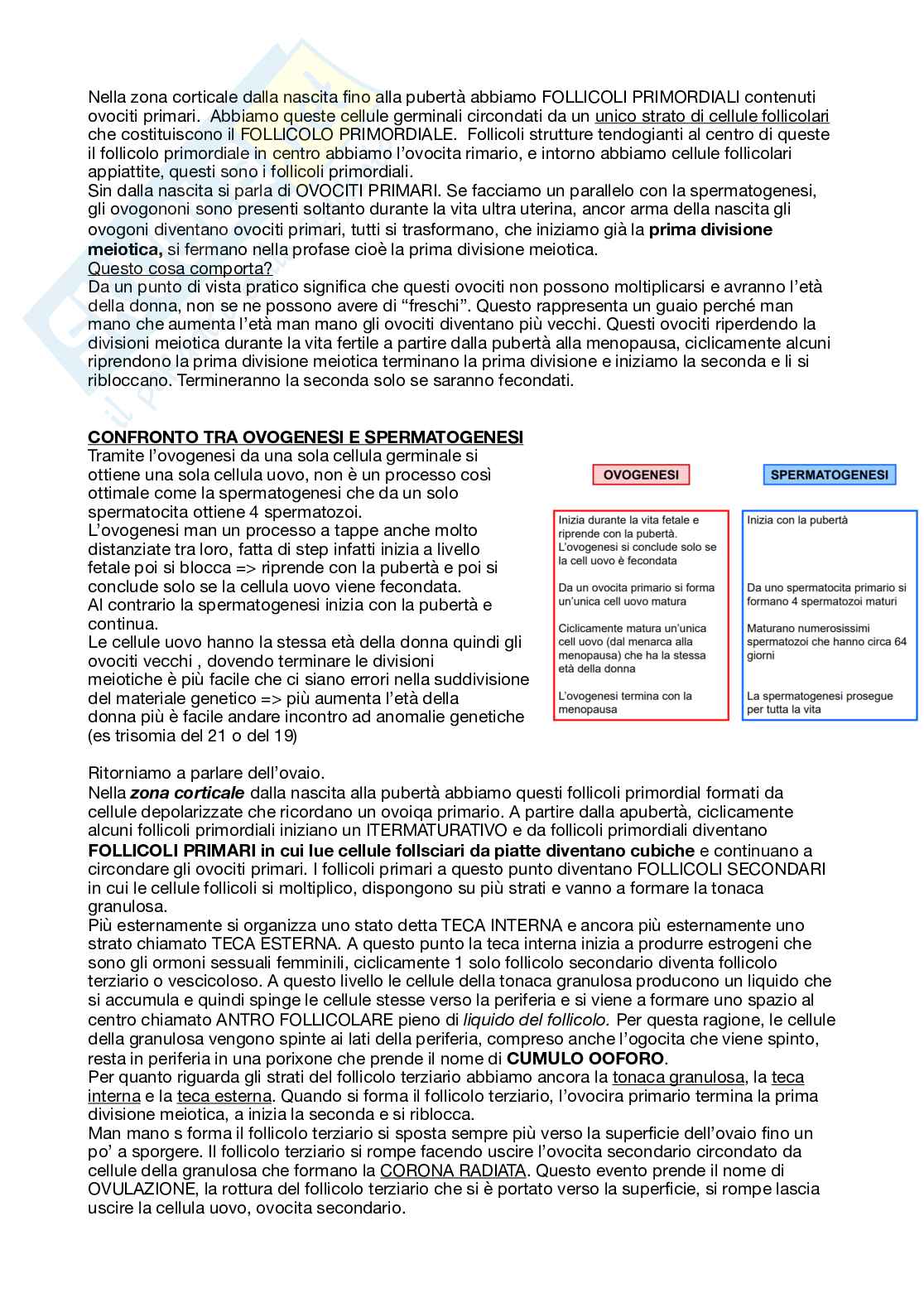 Apparato genitale femminile Pag. 2