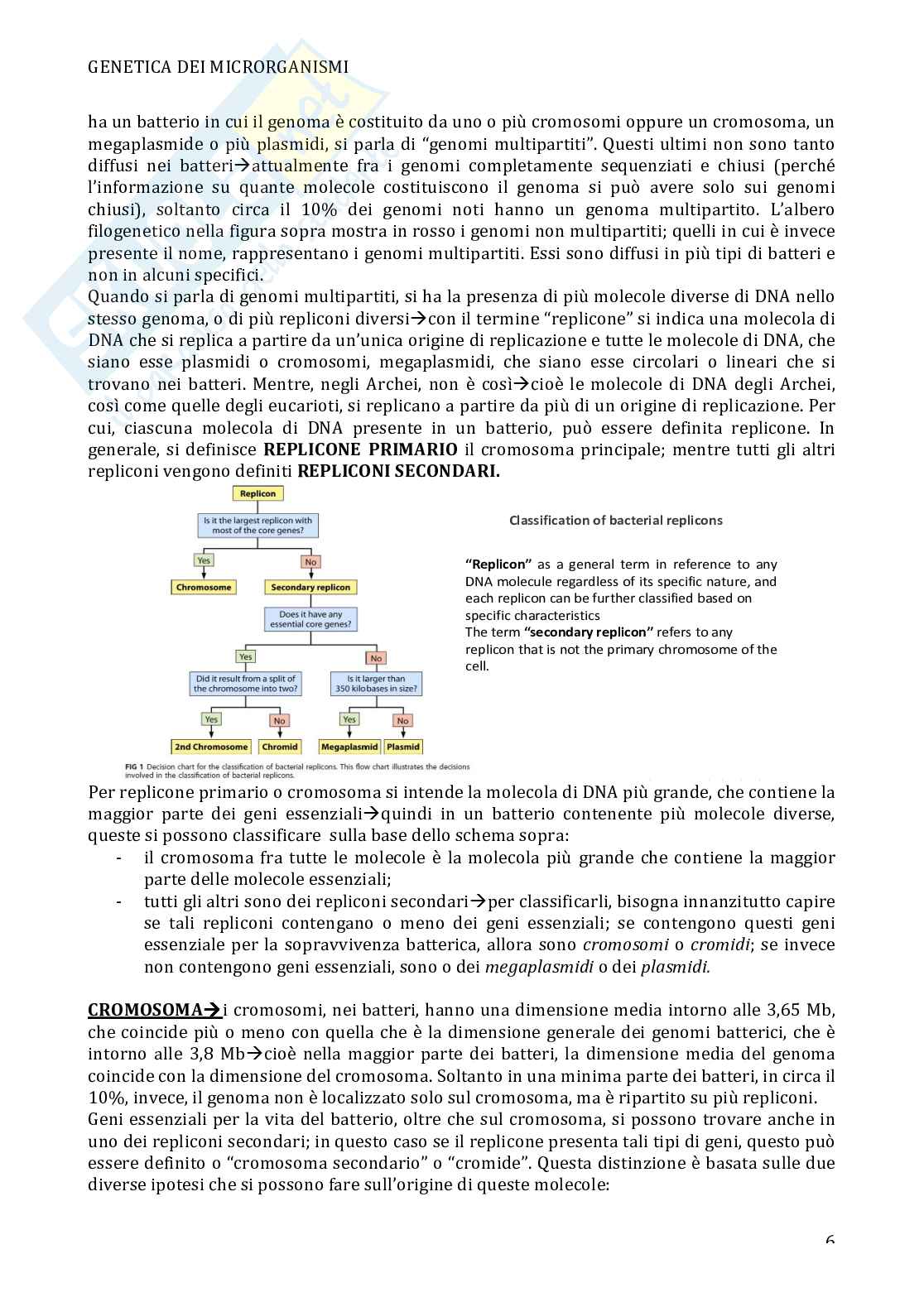 Genetica dei microrganismi Pag. 6