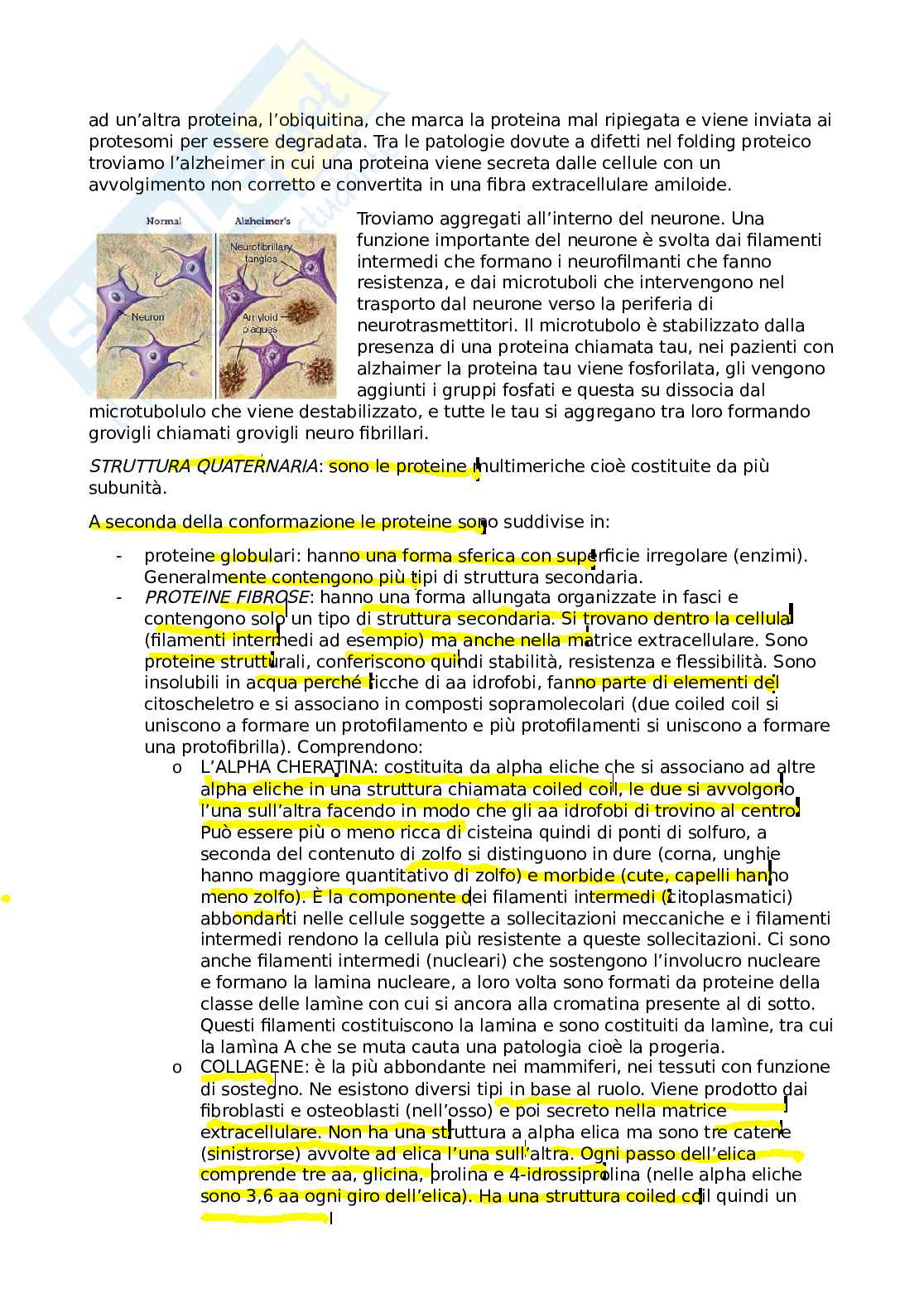 Appunti Biochimica e biologia molecolare - primo parziale  Pag. 6