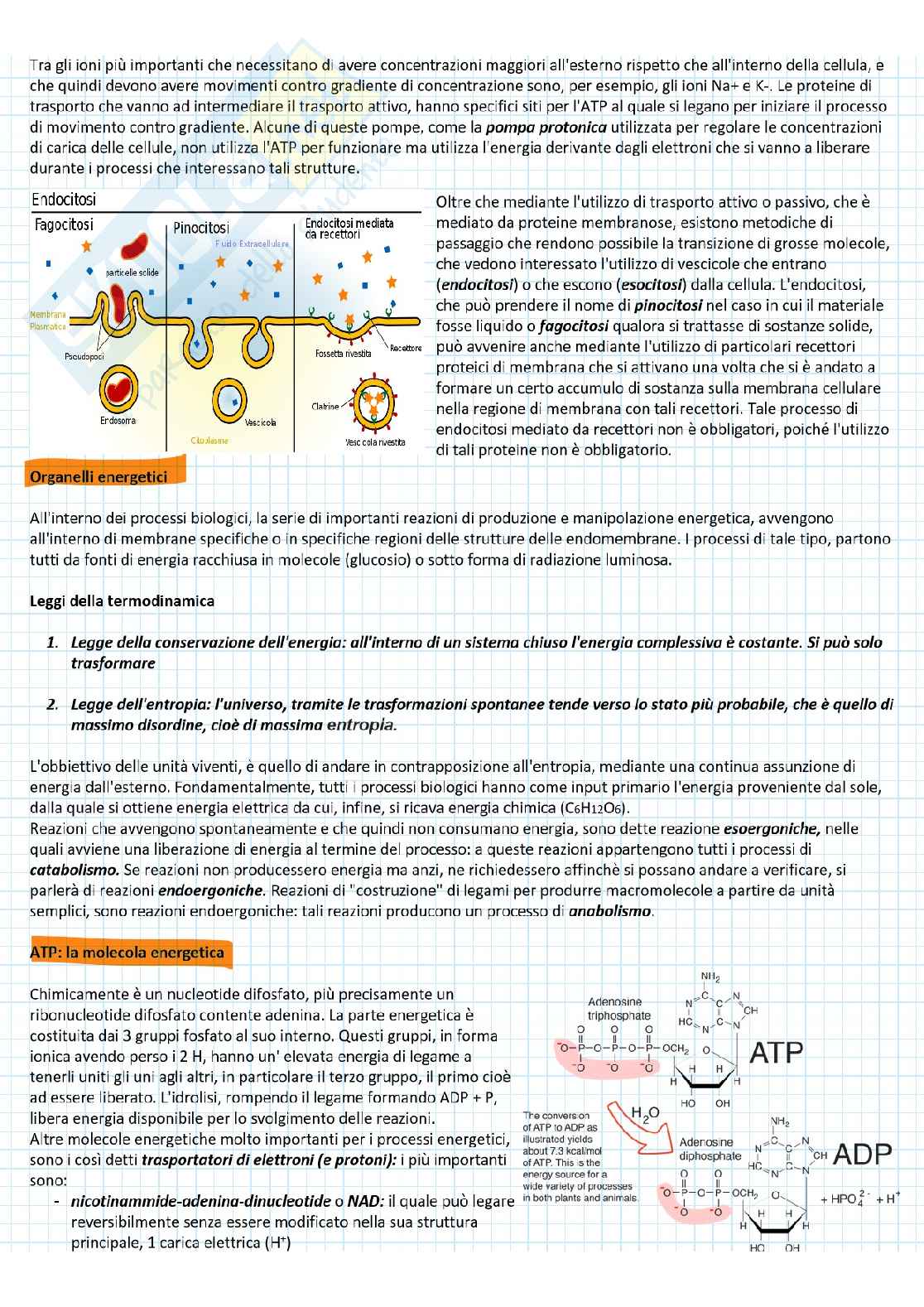 Modulo biologia Pag. 6