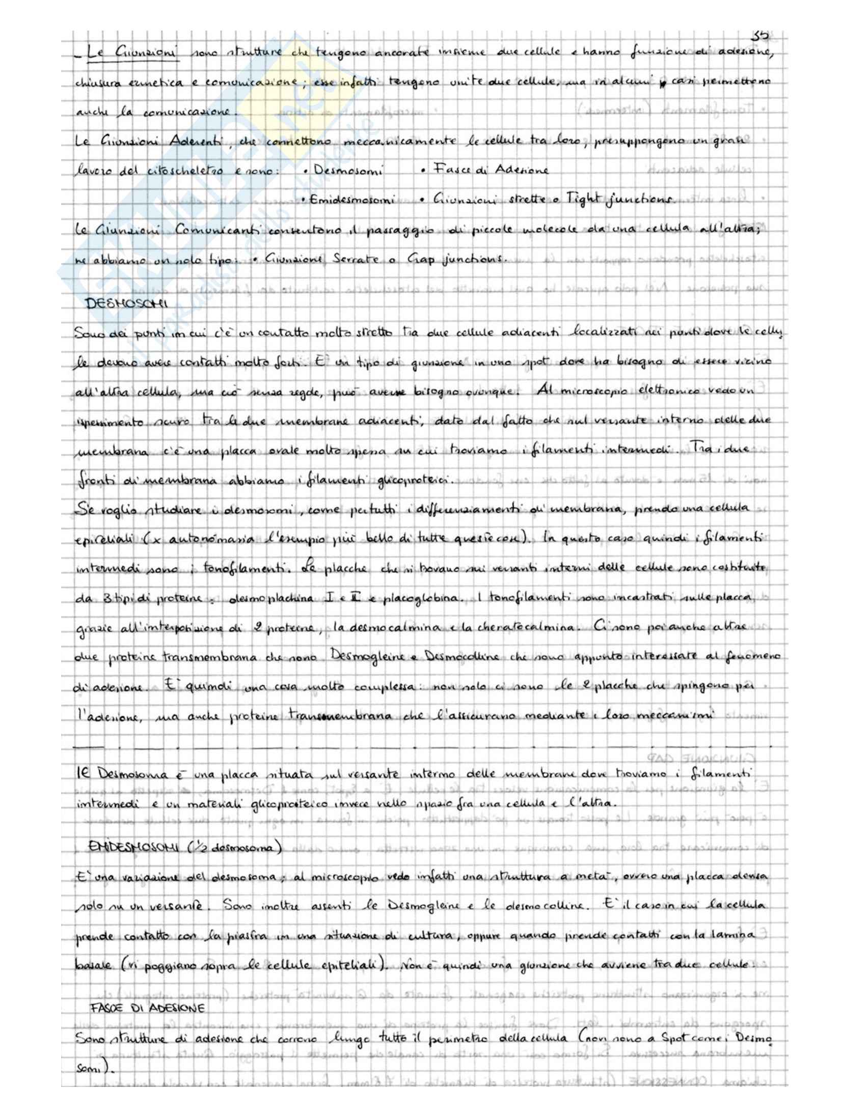 Biologia della Cellula - Appunti Pag. 36