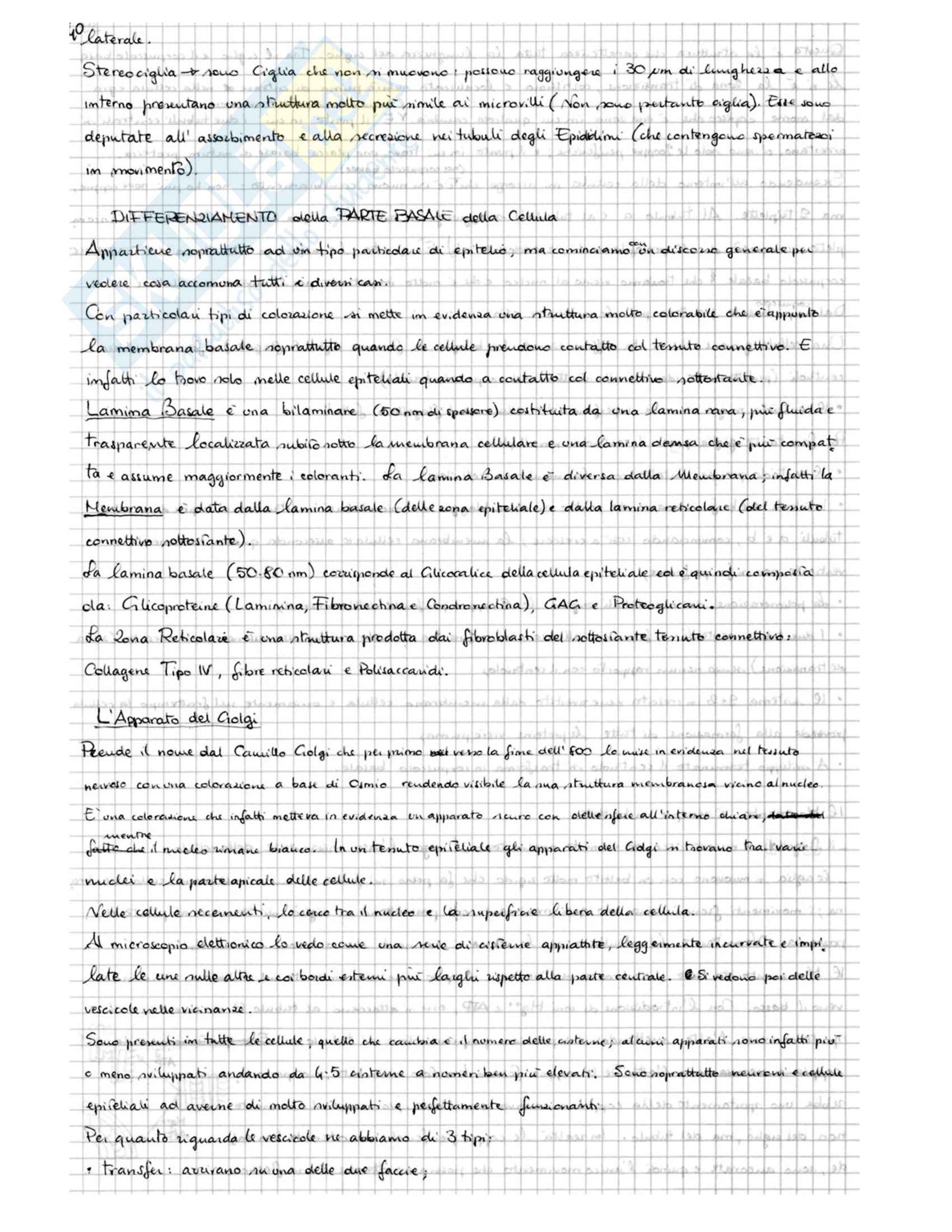 Biologia della Cellula - Appunti Pag. 41