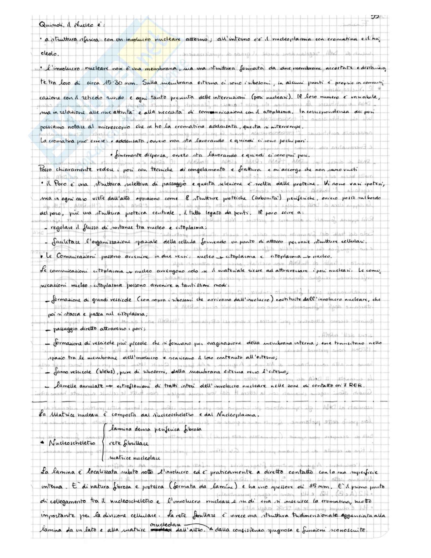 Biologia della Cellula - Appunti Pag. 56