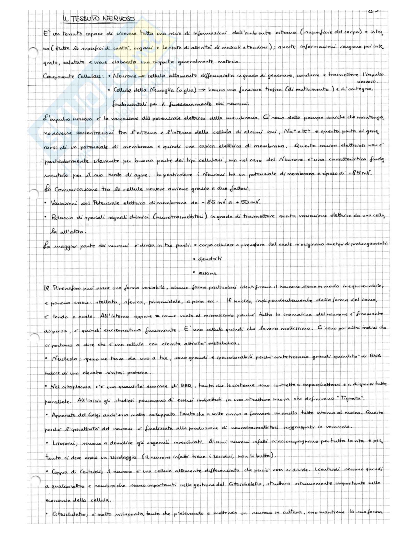 Biologia della Cellula - Appunti Pag. 86