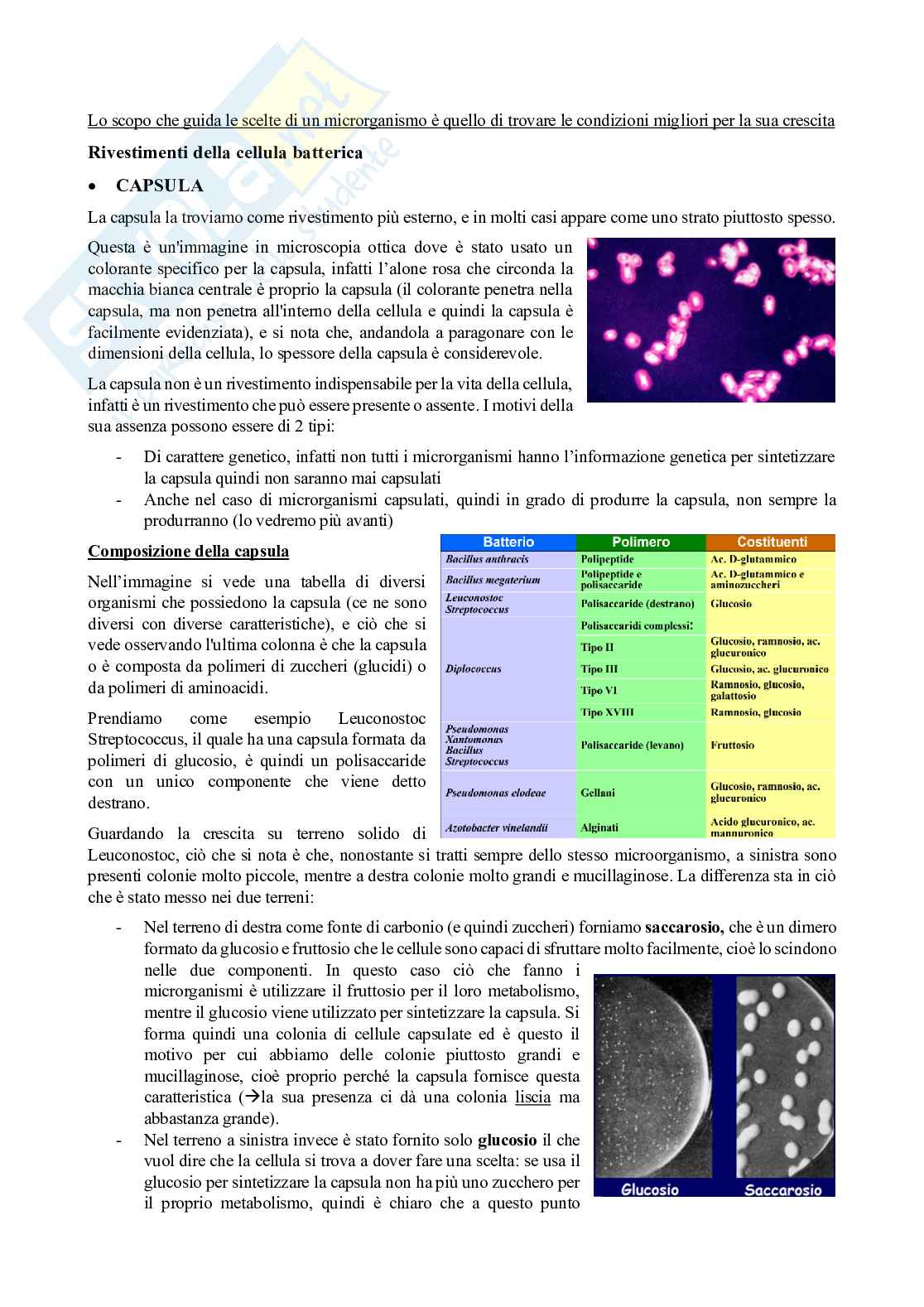 Appunti di Microbiologia con laboratorio - Lezione 5 Pag. 1