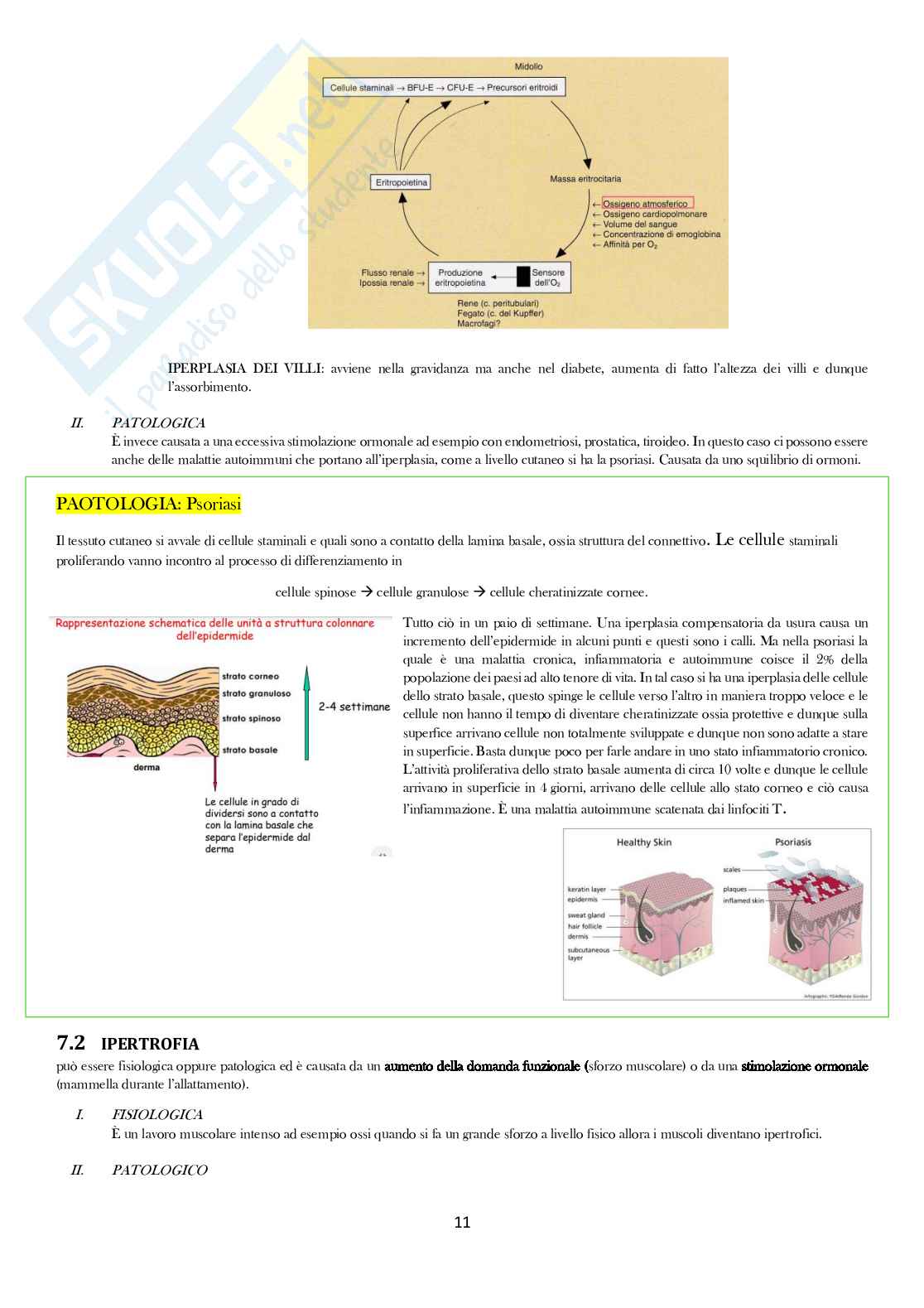 Patologia generale Pag. 11